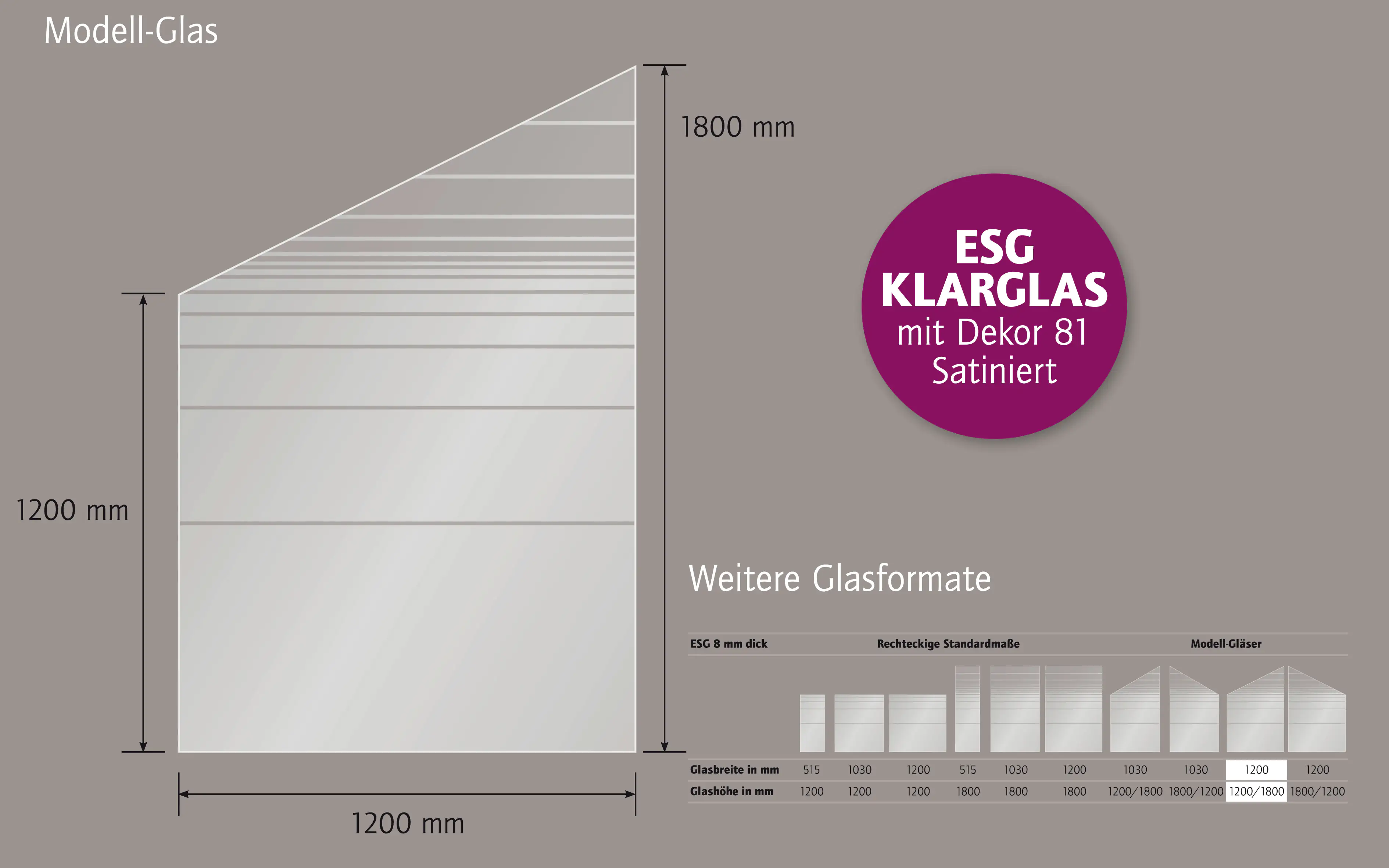 Ambiente Glaszaun Dekor 81 schräg 120 x 120/180 cm gehärtetes 8 mm Glas Ambiente Glaszaun Dekor 81 schräg 120 x 120/180 cm gehärtetes 8 mm Glas
