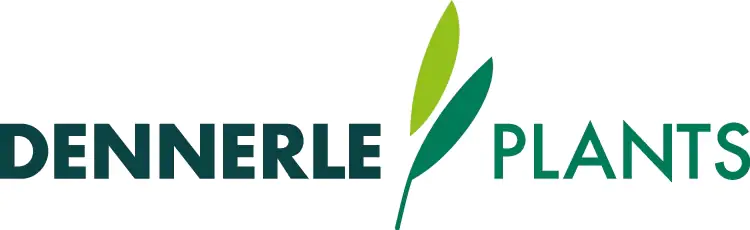 Dennerle_logo
