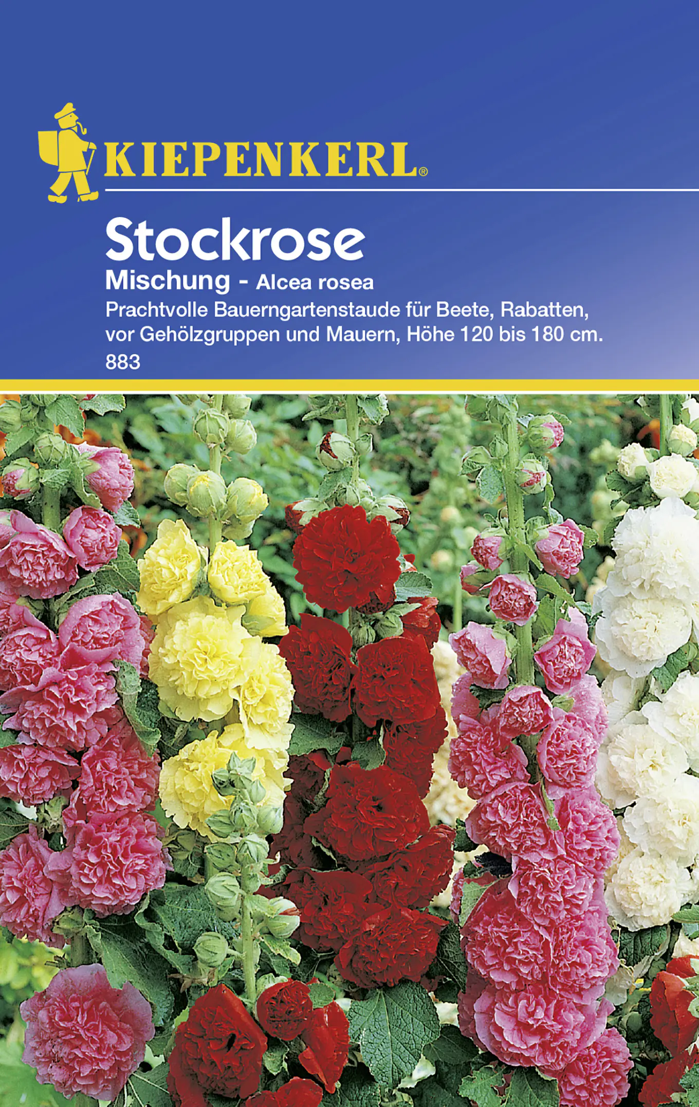 Kiepenkerl Stockrose Mischung Alcea rosea, Inhalt: ca. 30 Pflanzen