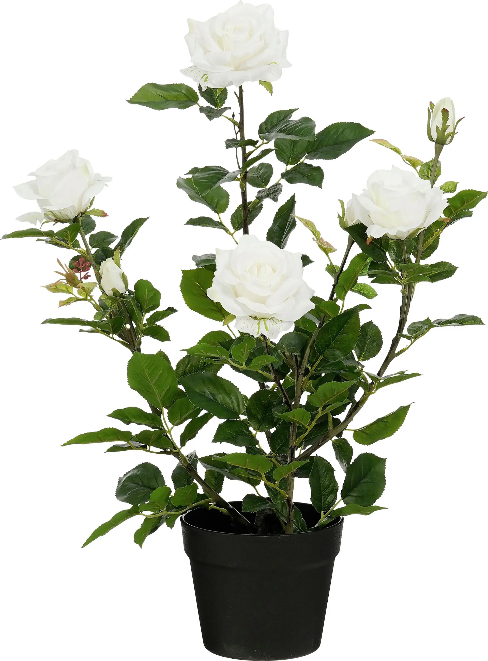 Mica Decorations Kunstpflanze Rose im Topf creme Ø 35 x 62 cm