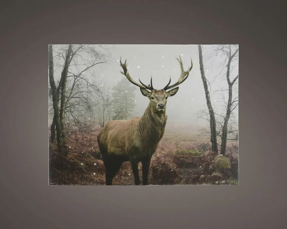 Kaemingk LED Leinwand BO Indoor 4 Lichter 80 x 58 x 78 cm