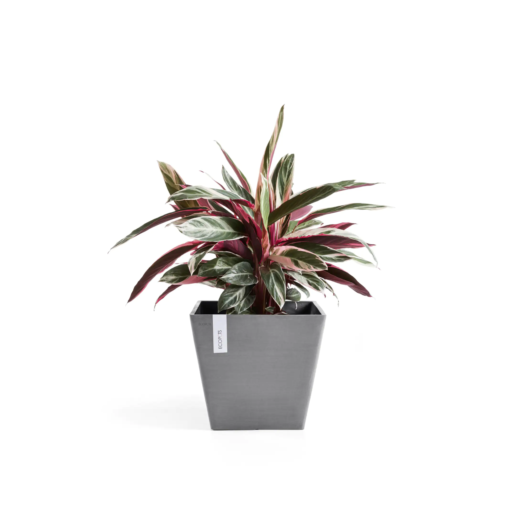 Ecopots Pflanztopf Rotterdam 30 x 30 x 26 cm grau Ecopots Pflanztopf Rotterdam 30 x 30 x 26 cm grau