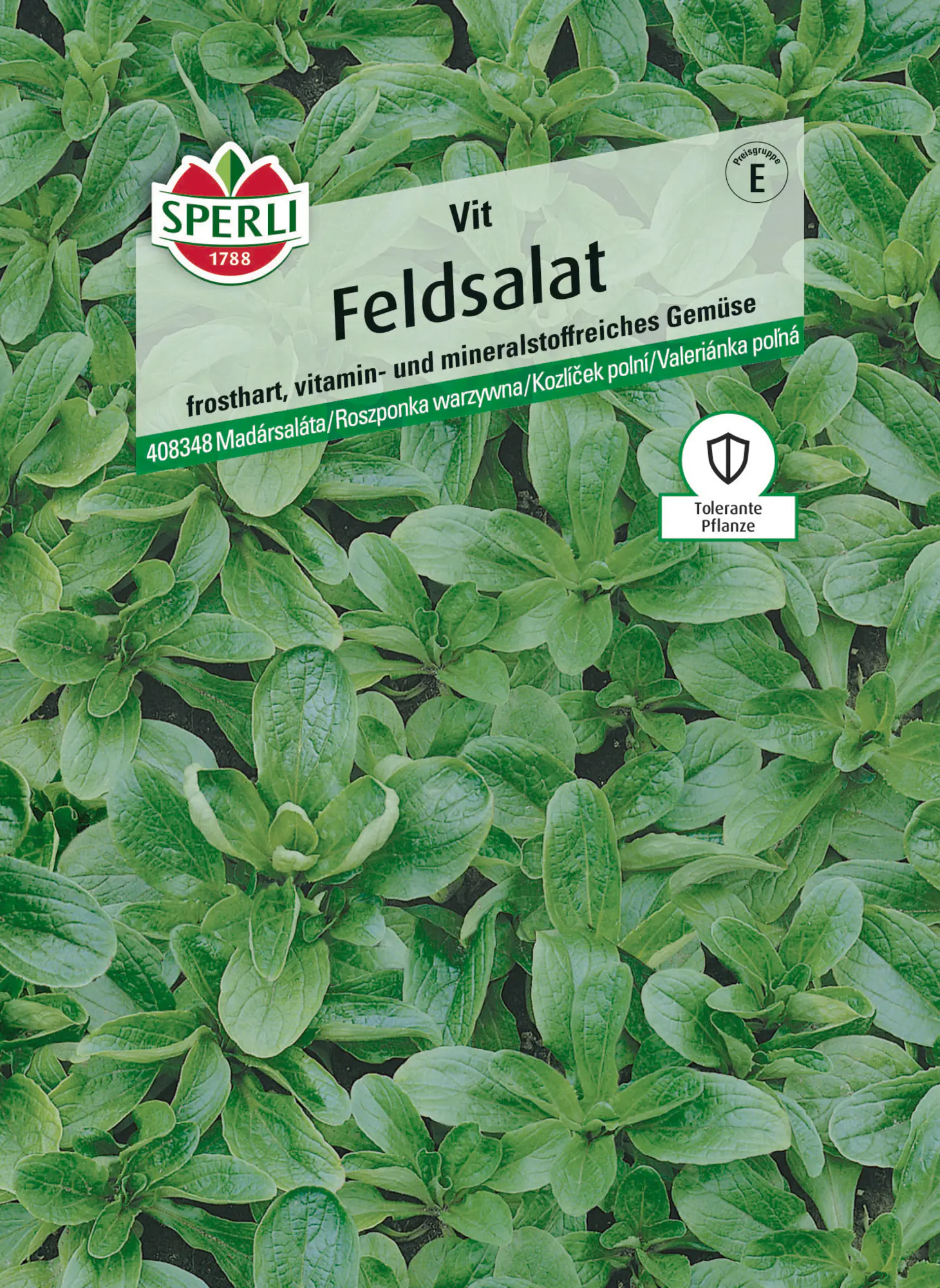 Sperli Saatgut Feldsalat Vit für bis zu 4-6 lfd. Meter