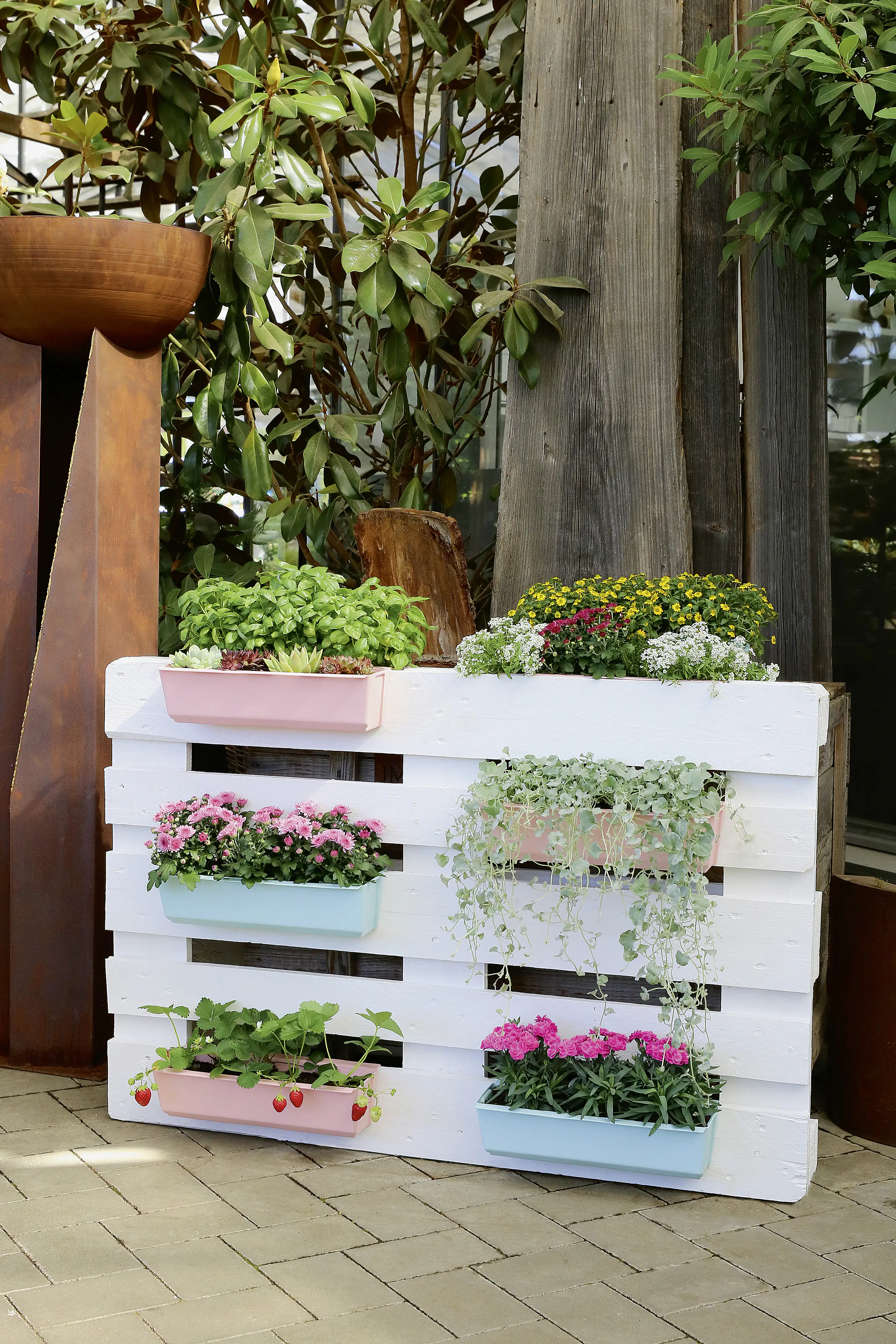 4000150019569_2829491 Geli Pflanztopf Easy 37 x 10 cm zartrosa für Europalette
