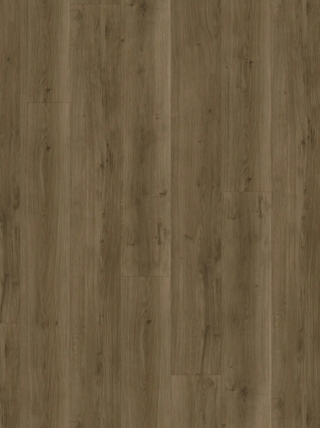 Parador Designboden Modular ONE Eiche Spirit geräuchert Holzstruktur Parador Designboden Modular ONE Eiche Spirit geräuchert Holzstruktur