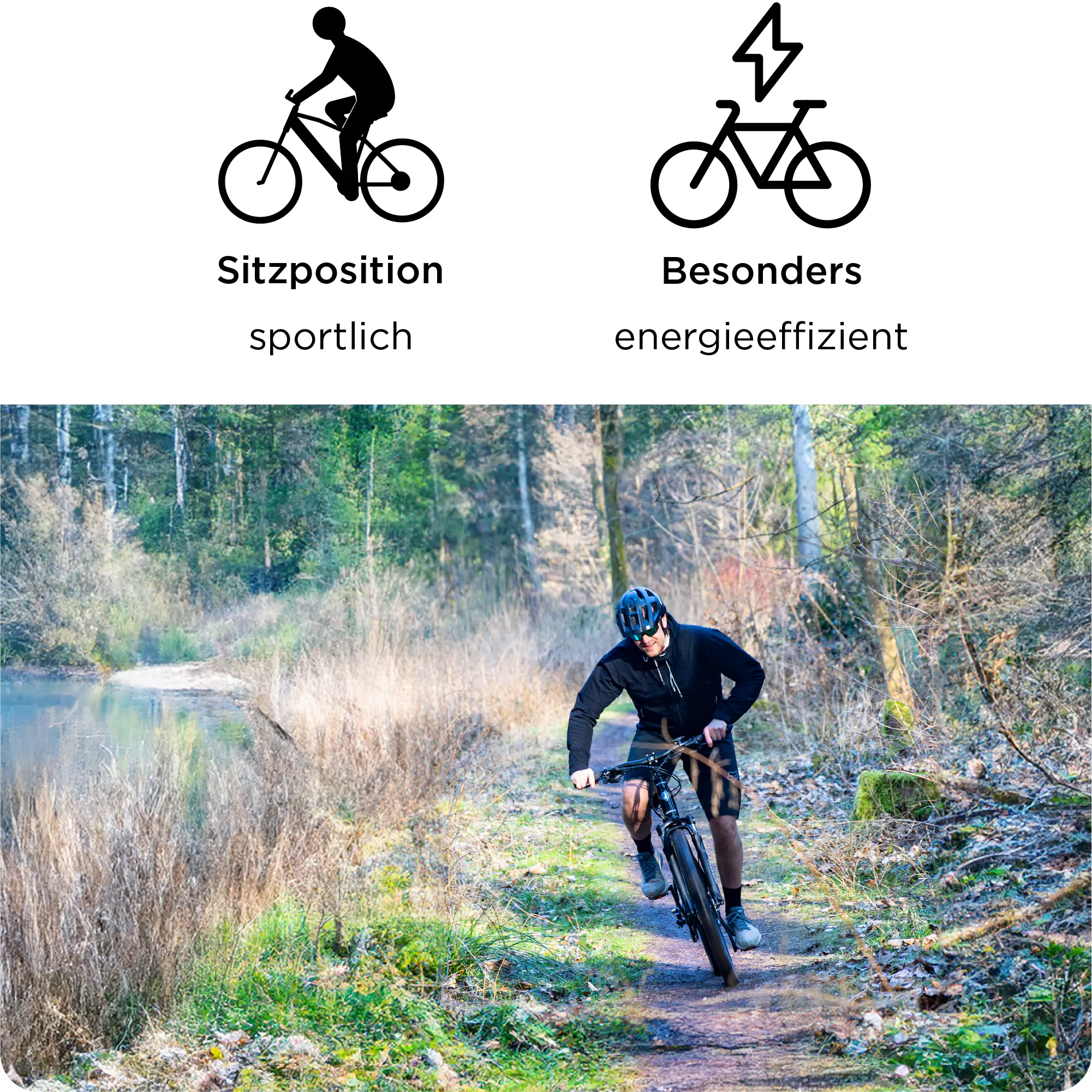 Zündapp E-Bike MTB X1000 29 Zoll 10-Gang 733 Wh schwarz	