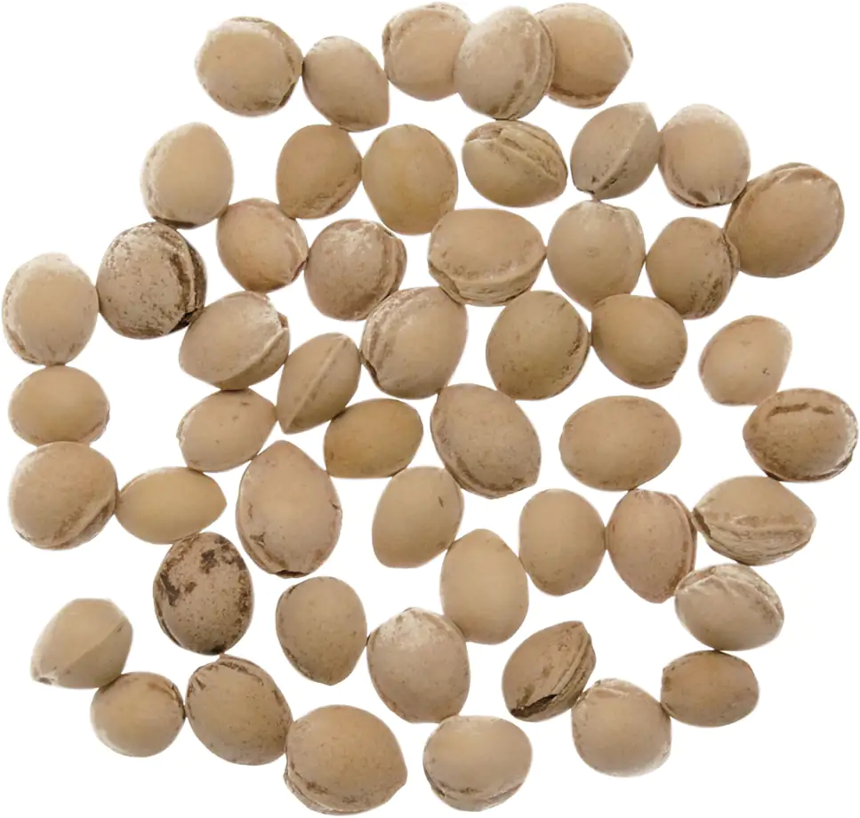 7610877262109_1577998 Glorex Kirschkerne 500 g