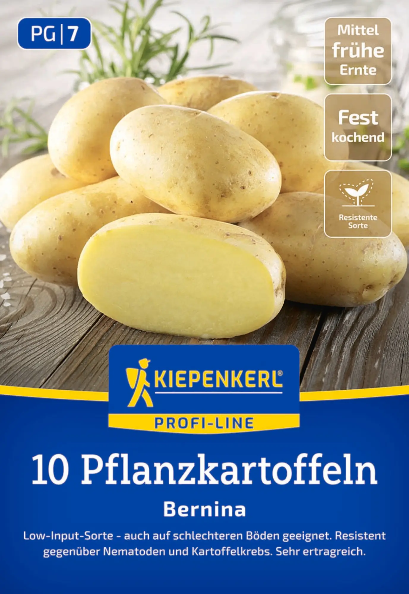 Kiepenkerl Pflanzkartoffel Bernina 10 Stück