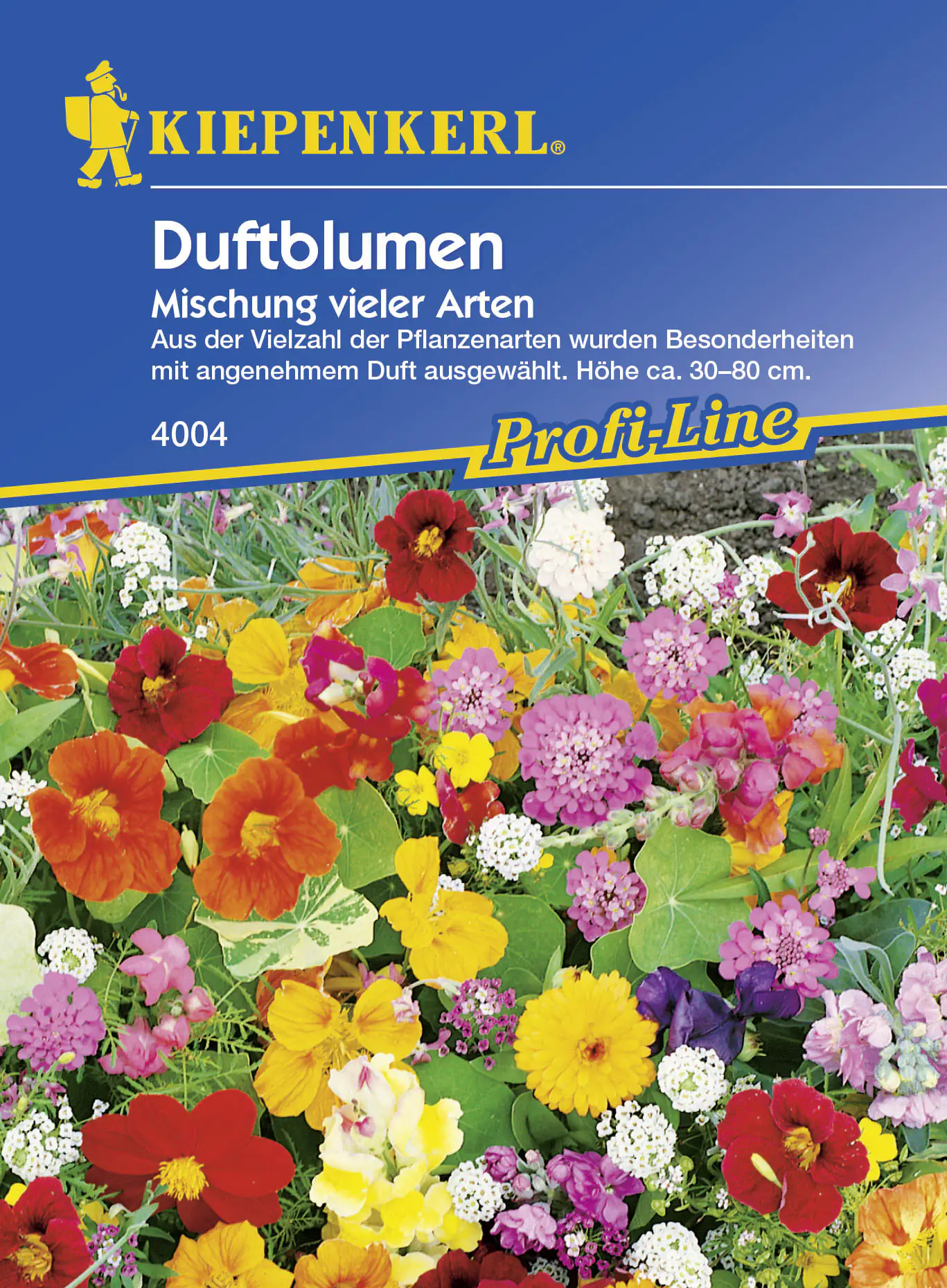 Kiepenkerl Saatgut Duftblumenmix 2-4 m²