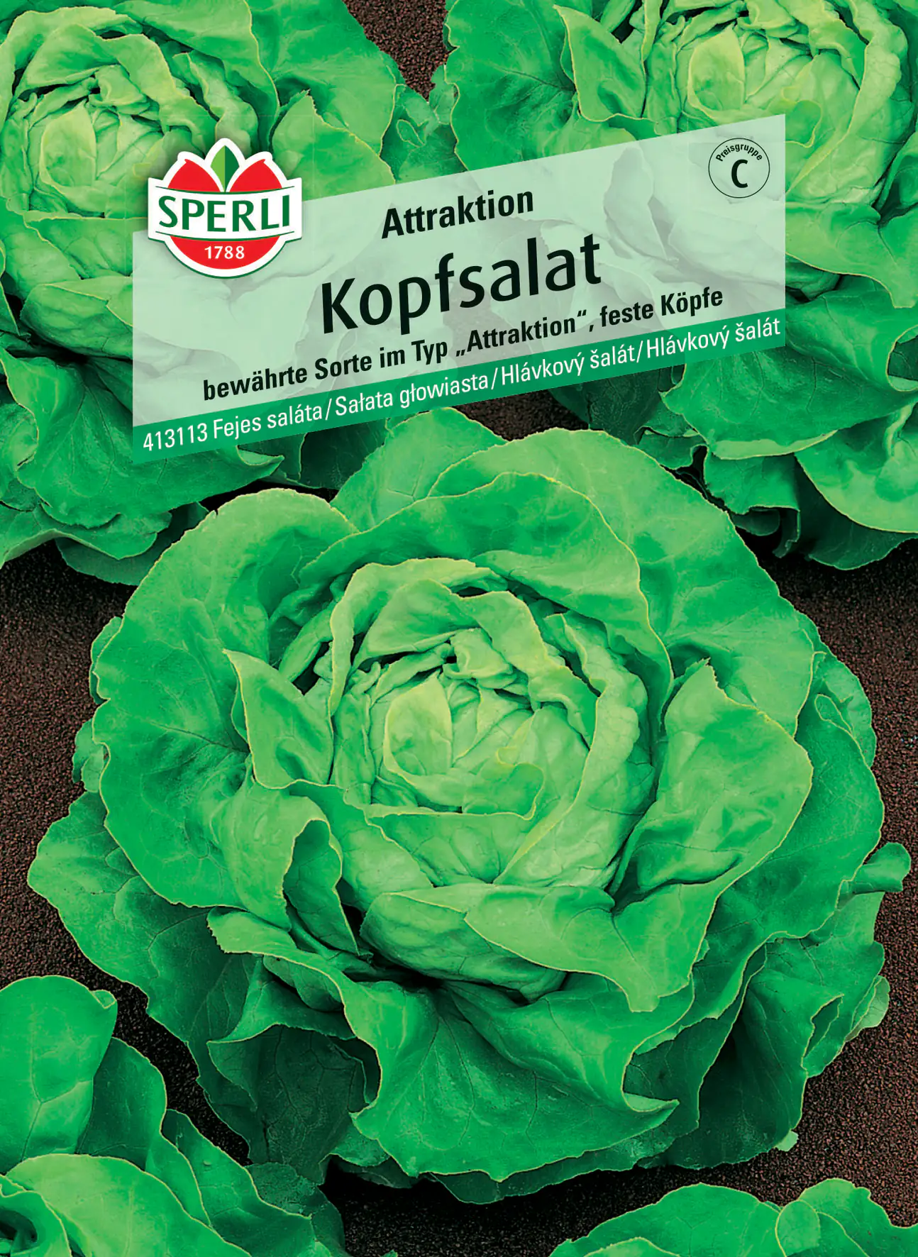Sperli Kopfsalat Attraktion Sperli Kopfsalat Attraktion