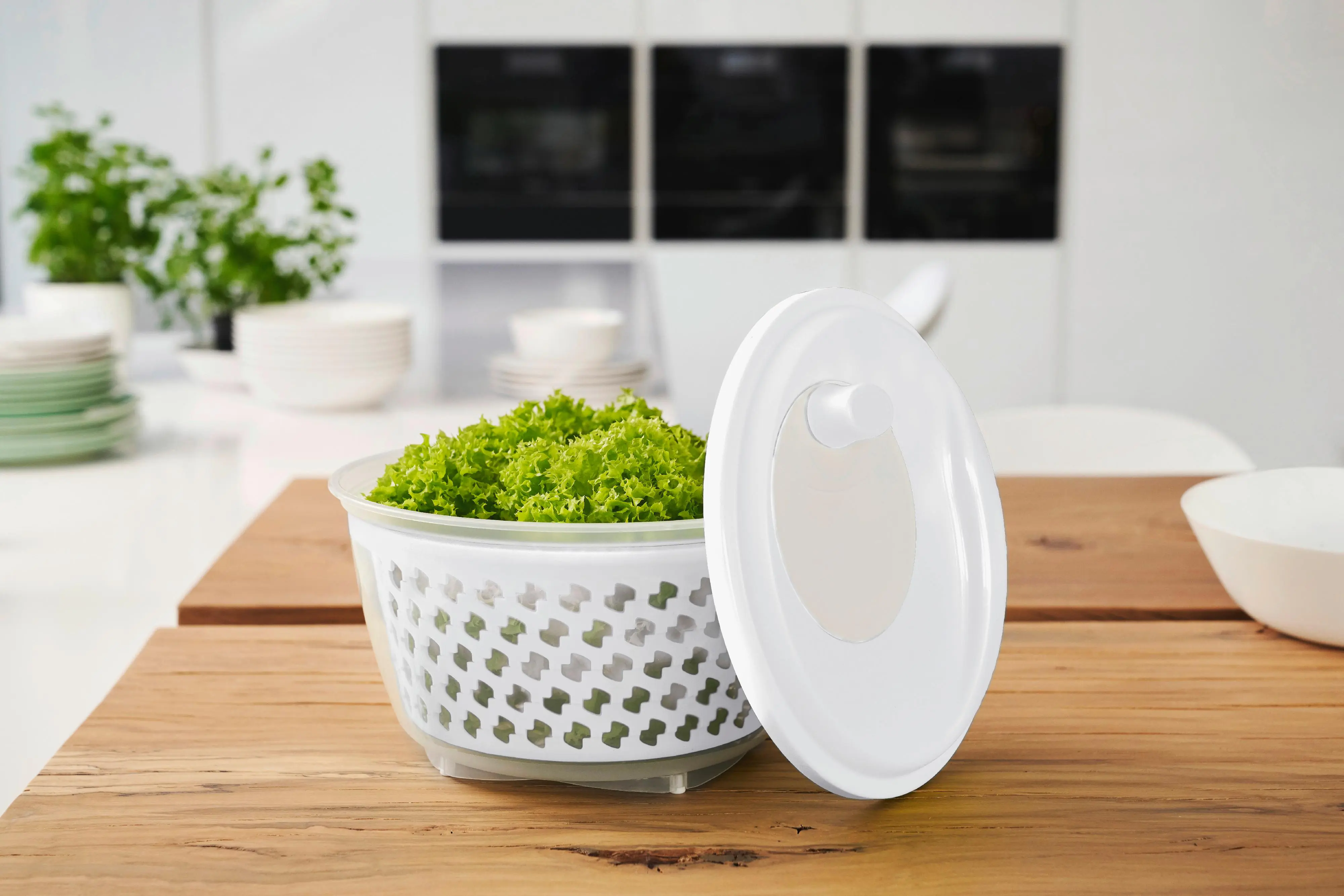 Rotho Salatschleuder Fresh 4,5 L mistletoe white 