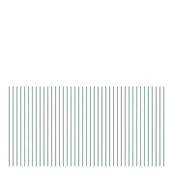 4004338642884 Alberts Doppelstab-Gittermatte 2 m 200 cm hoch Typ 6/5/6 grün