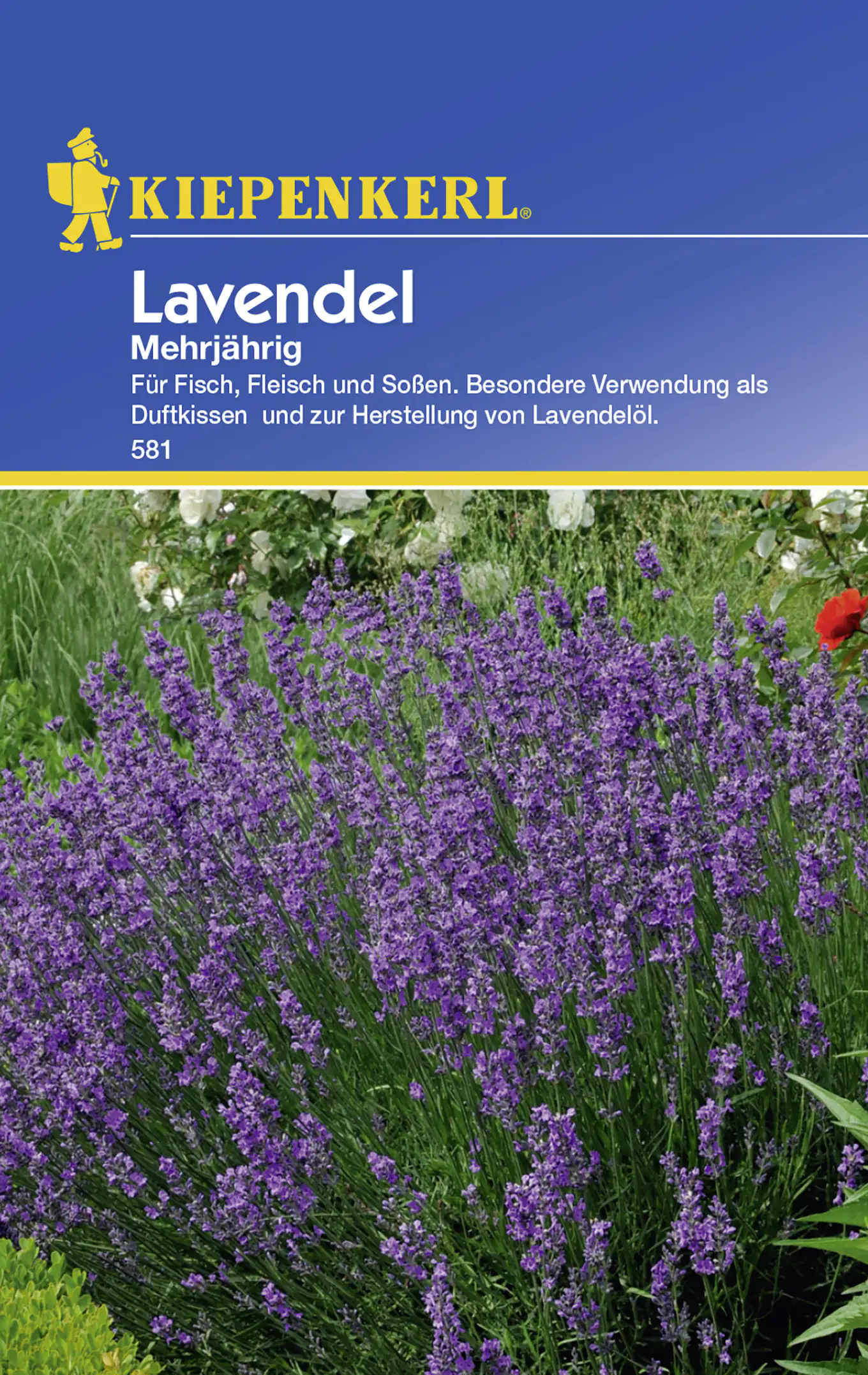 Kiepenkerl Lavendel Lavendel mehrjährig Lavandula angustifolia, Inhalt: ca. 100 Pflanzen Kiepenkerl Lavendel Lavendel mehrjährig Lavandula angustifolia, Inhalt: ca. 100 Pflanzen