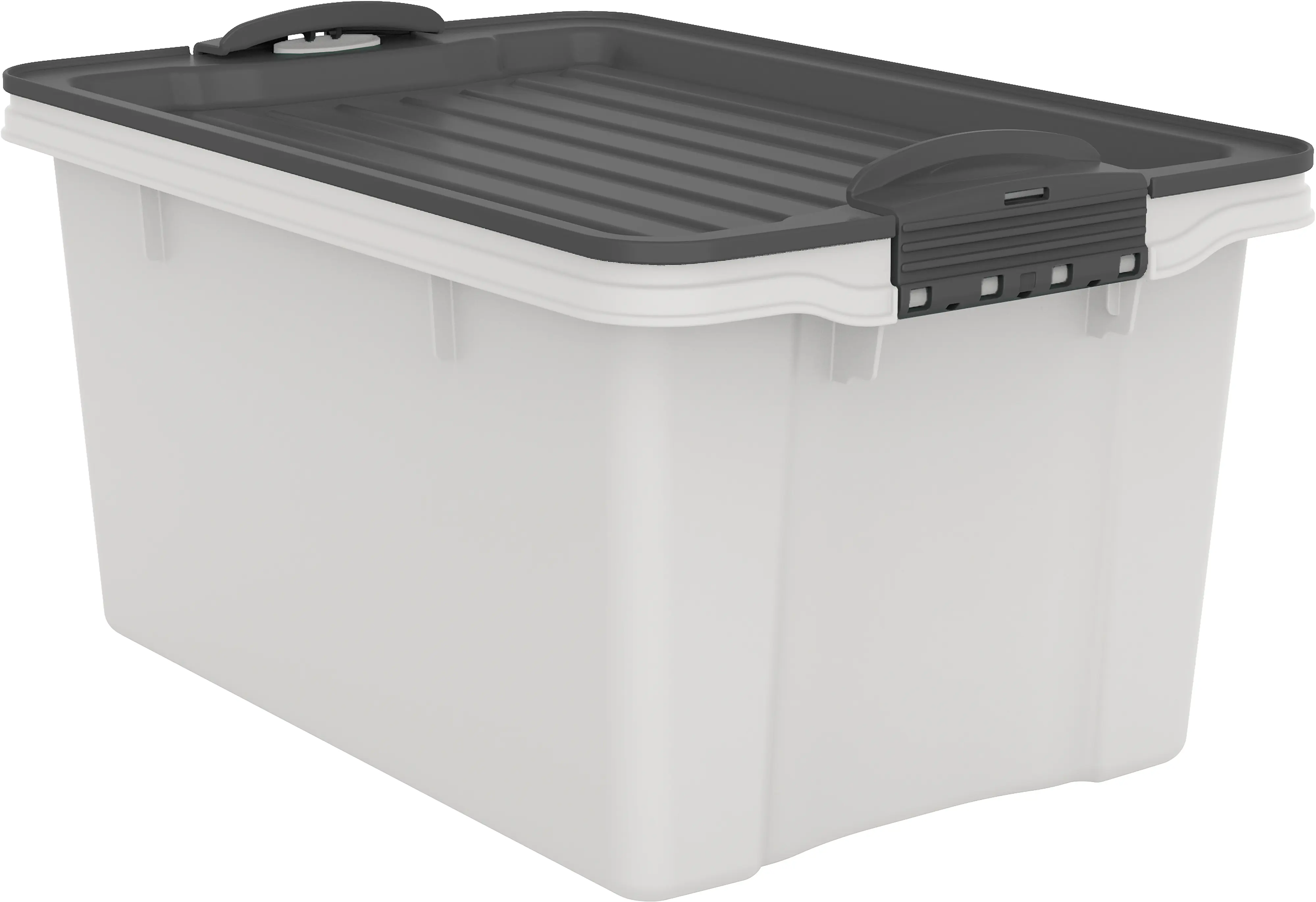 Rotho Aufbewahrungsbox Compact mit Deckel 27 x 18,5 cm 4,5 L mistletoe weiß