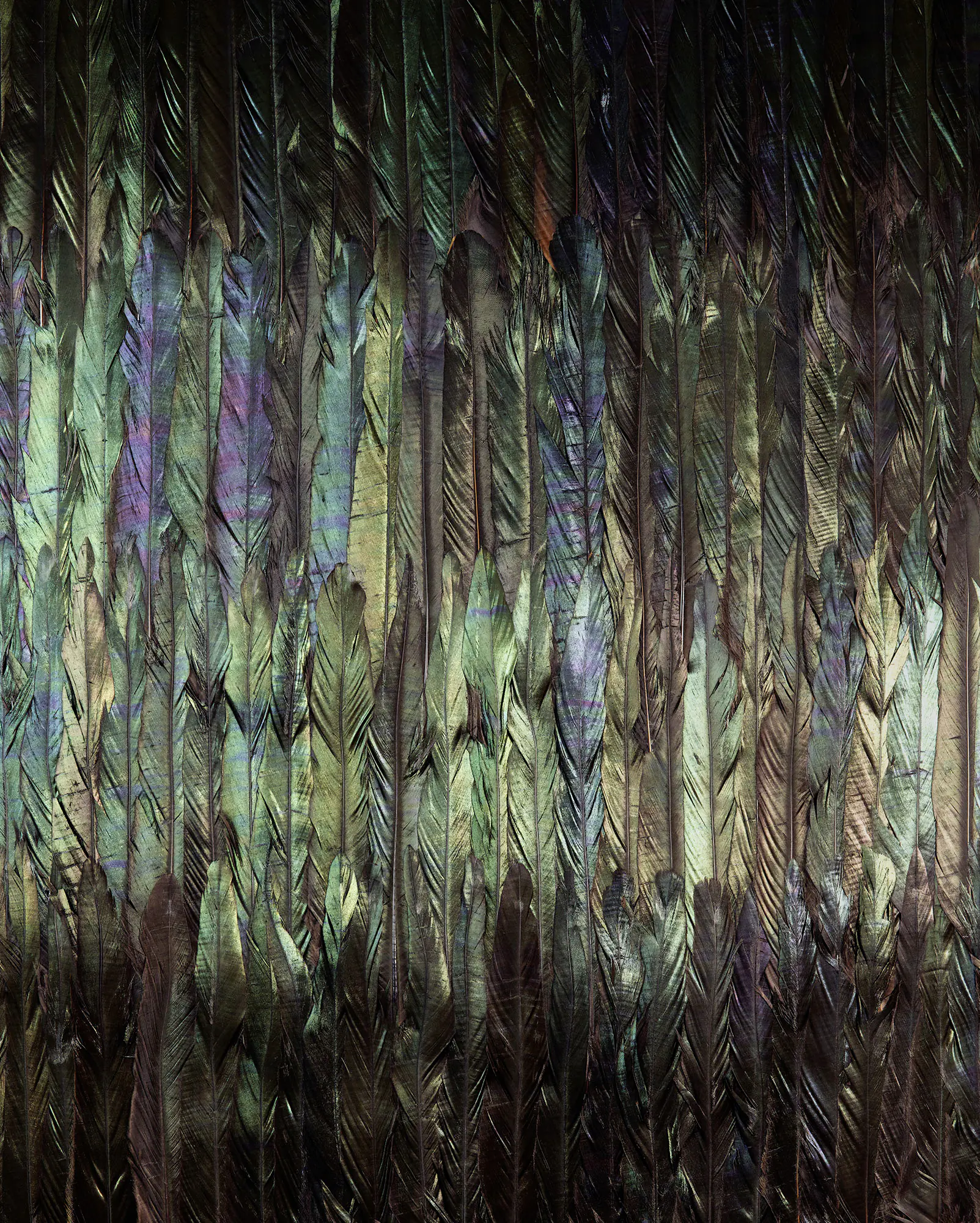 Komar Vlies Fototapete Dark Wings 200 x 250 cm 