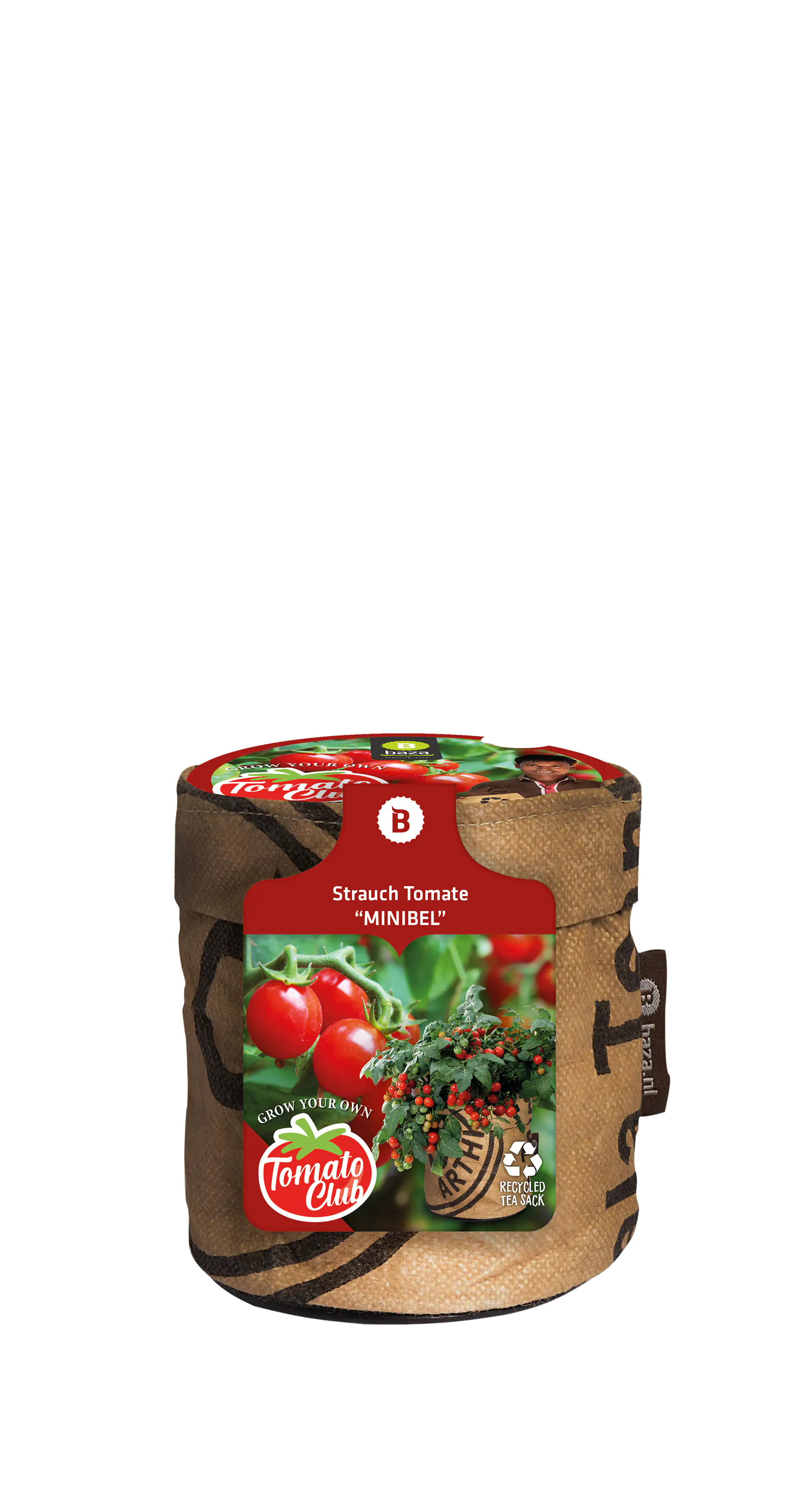 Baza Seeds Kitchengarden Strauchtomate Minibel
