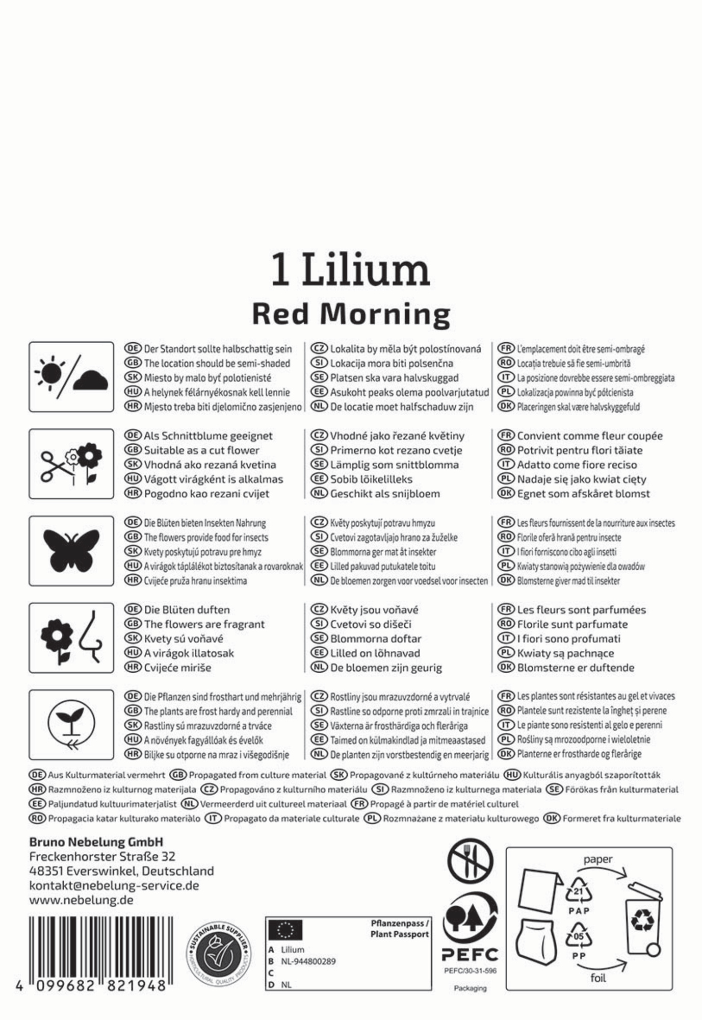 Kiepenkerl Profi-Line Frühjahrsblumenzwiebel Baum-Lilie Red Morning 1 Stück