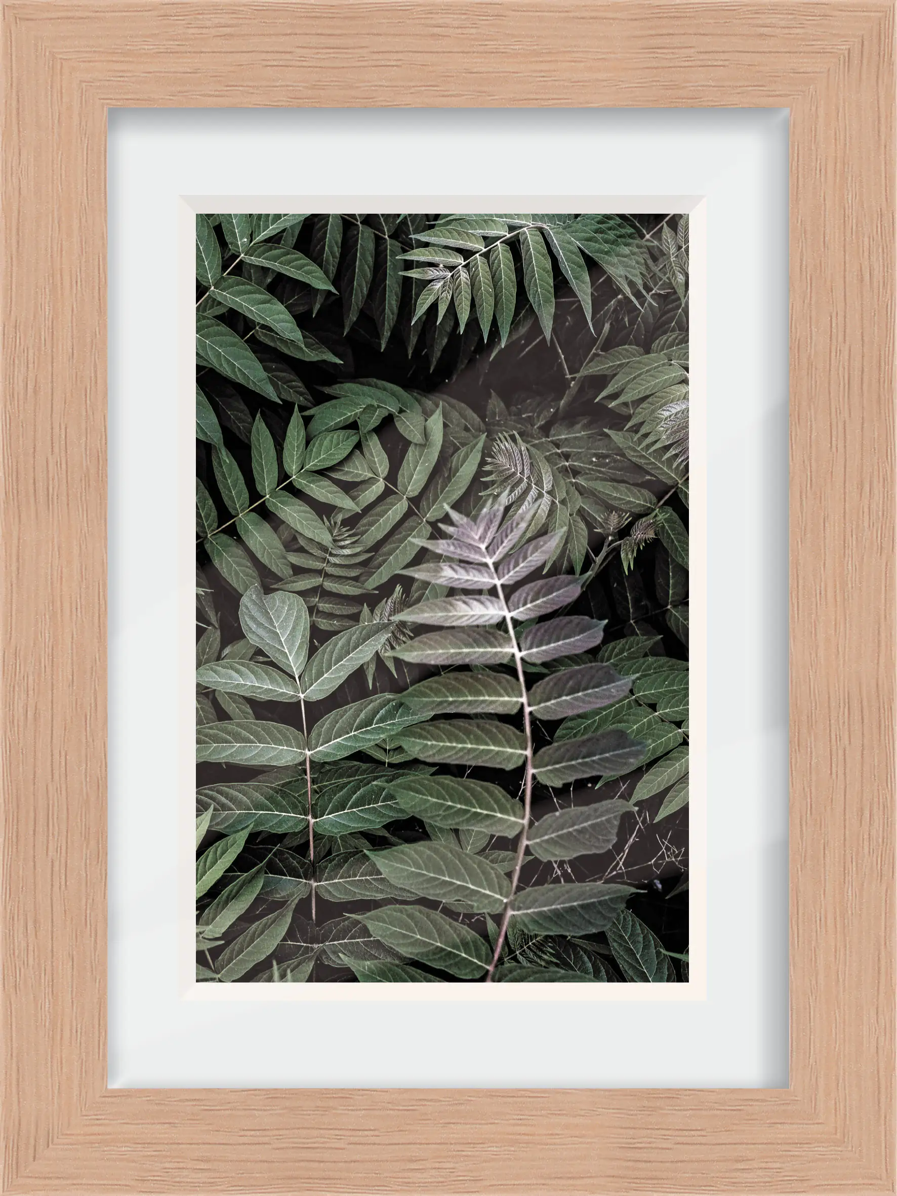 Holz Bilderrahmen Wien eiche, 13 x 18 cm