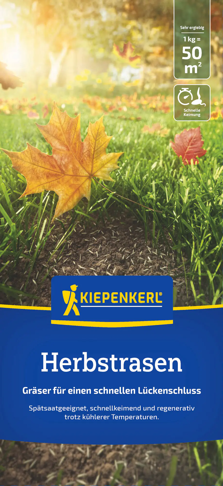 Kiepenkerl Saatgut Kiepenkerl Herbstrasen 1 kg für ca. 50 m²