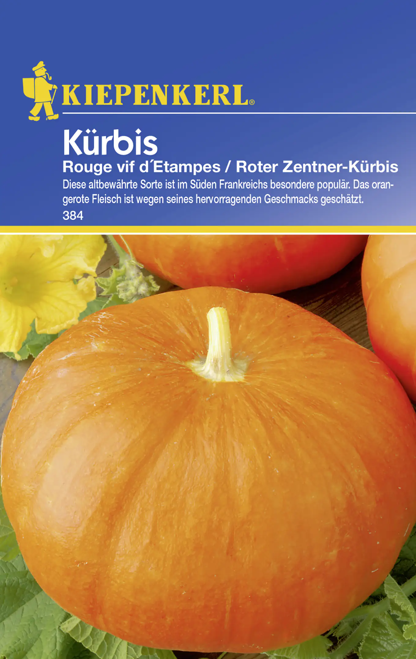 Kiepenkerl Kürbis Rouge vif d'Etampes Cucurbita maxima, Inhalt: ca. 3-5 Pflanzen