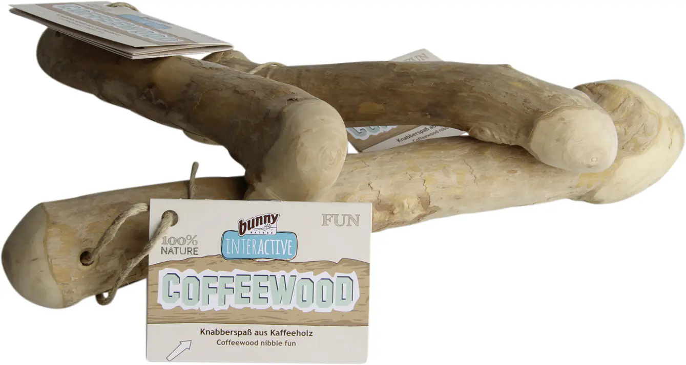 Bunny Nature Coffeewood