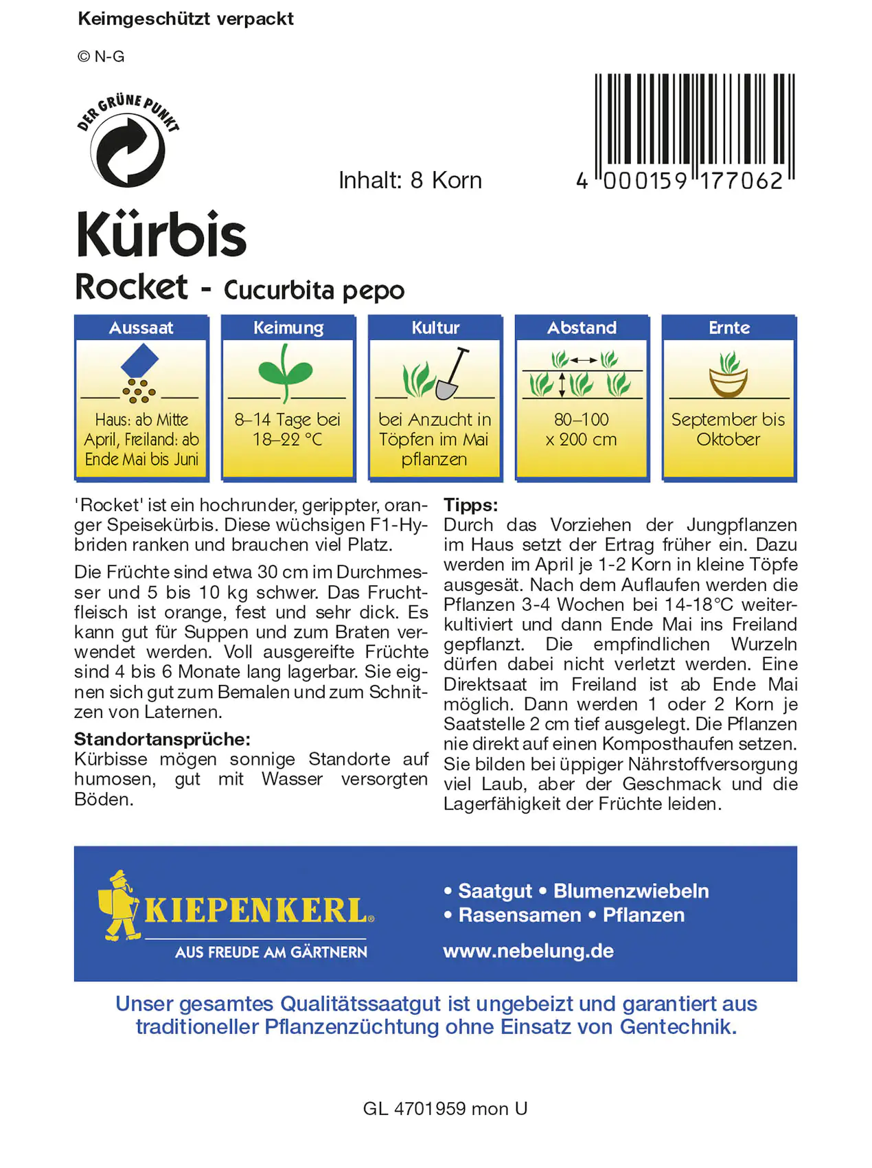Kiepenkerl Kürbis Rocket Cucurbita pepo, Inhalt: 8 Korn