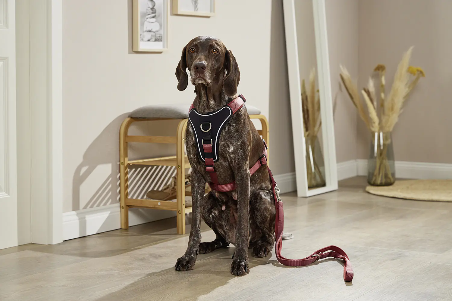 Wolters Hundegeschirr Professional Comfort rost rot