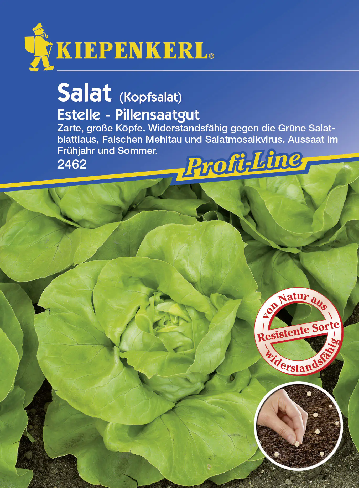 Kiepenkerl Kopfsalat Estelle Lactuca sativa var. capitata, Inhalt: 35 Pillen Kiepenkerl Kopfsalat Estelle Lactuca sativa var. capitata, Inhalt: 35 Pillen