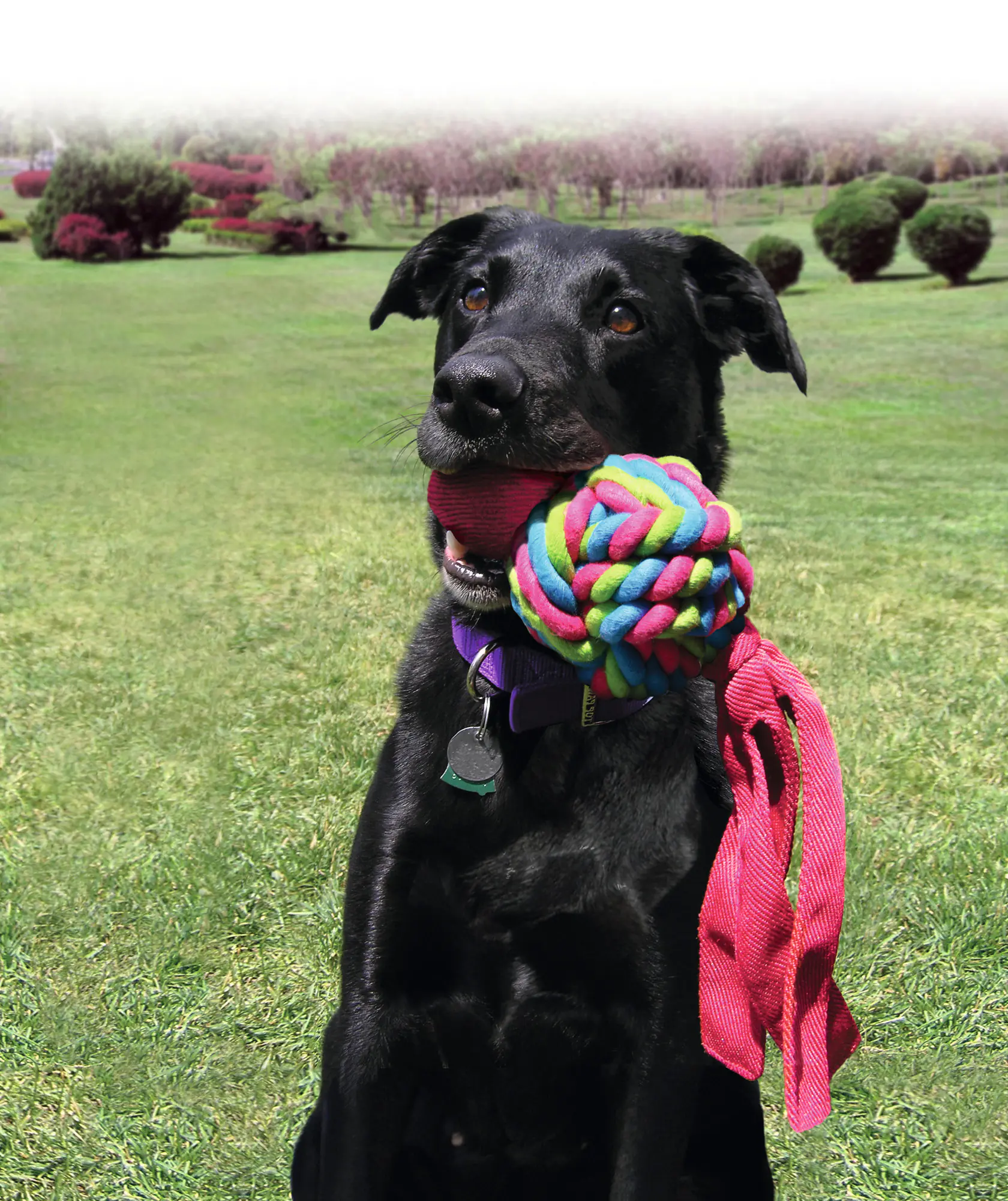 Kong Hundespielzeug Wubba Weaves 21 cm farblich sortiert