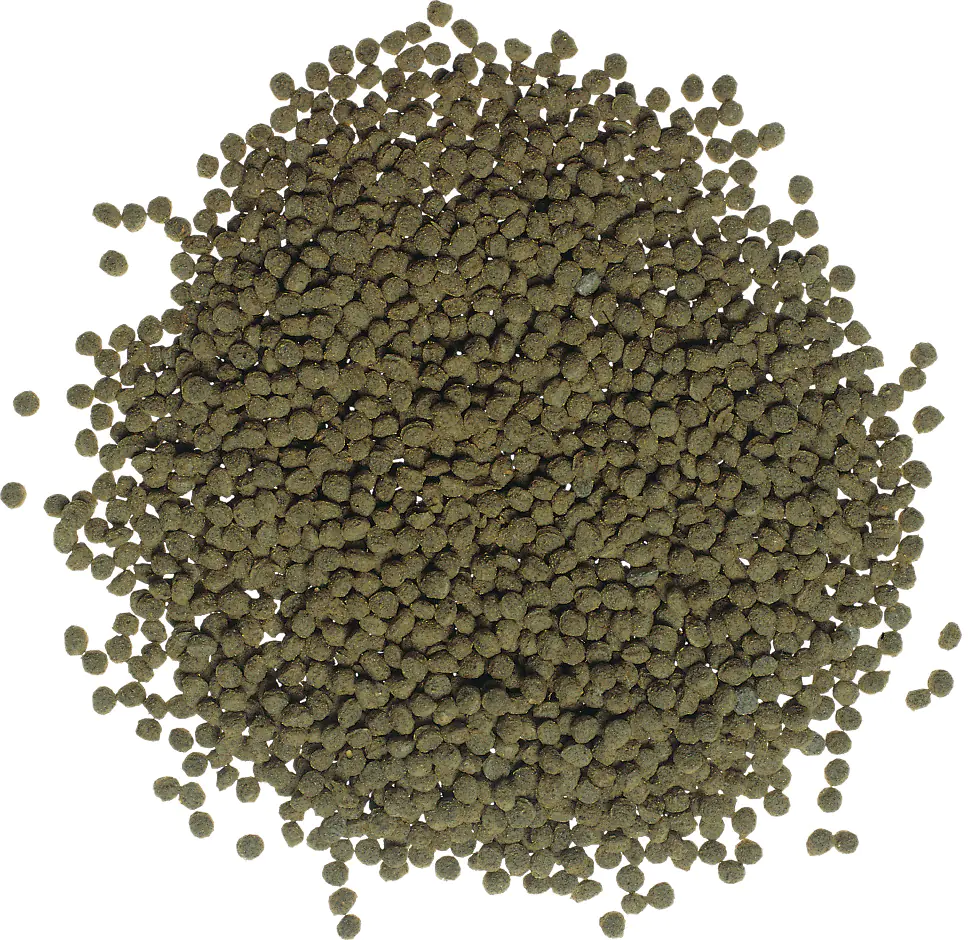 Tetra Goldfish Colour Sticks 250 ml Tetra Goldfish Colour Sticks 250 ml