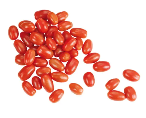 Tomatenpflanzen Datteltomaten rot 10,5 cm Topf