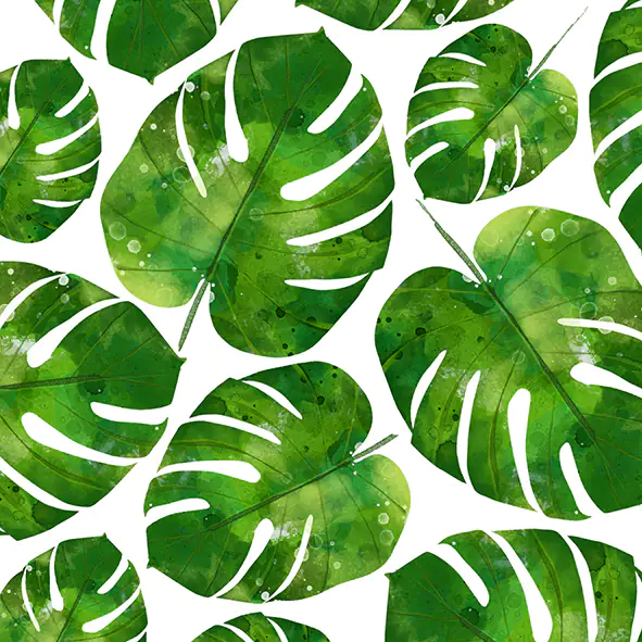 Braun & Company Servietten Motiv Philomix 33 x 33 cm - 20er Pack