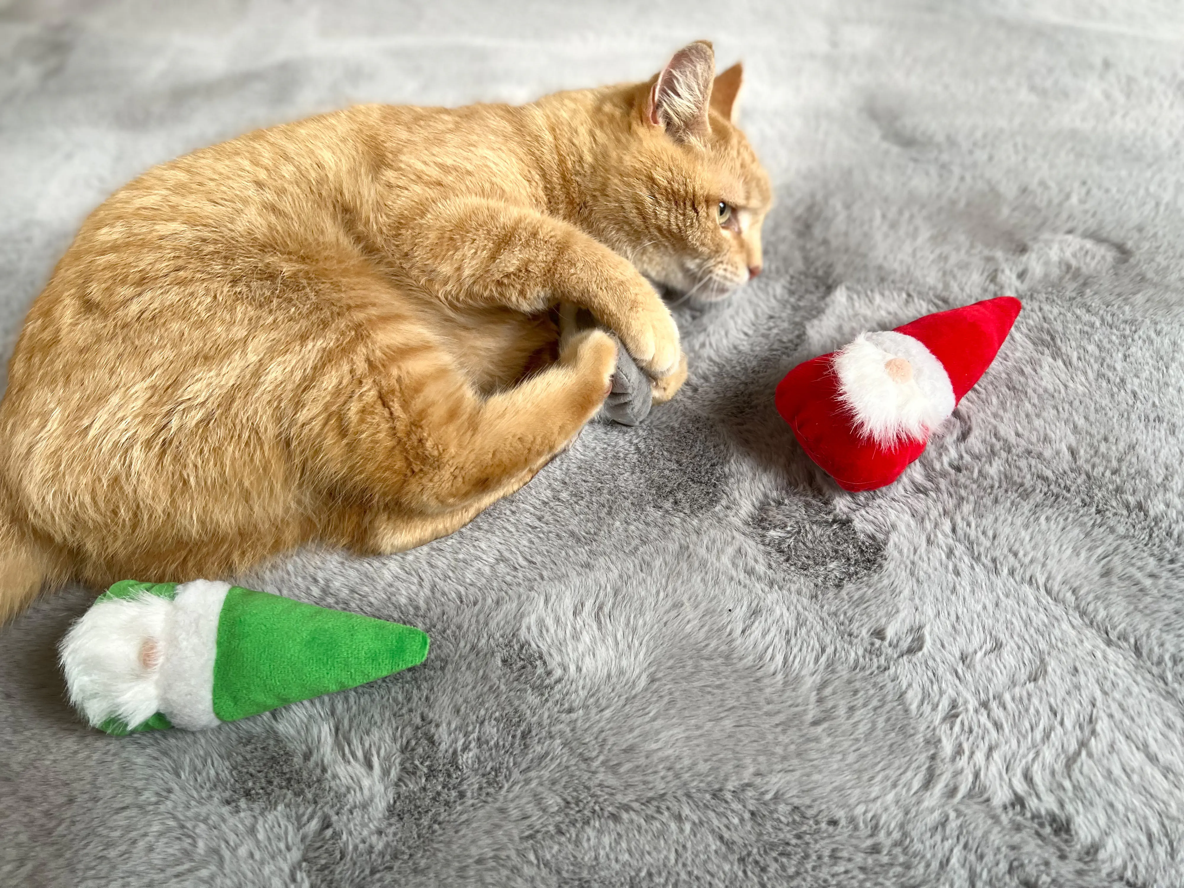 Aumüller Katzenspielzeug Weihnachtswichtel 15 cm - 3 Stk. Aumüller Katzenspielzeug Weihnachtswichtel 15 cm - 3 Stk.