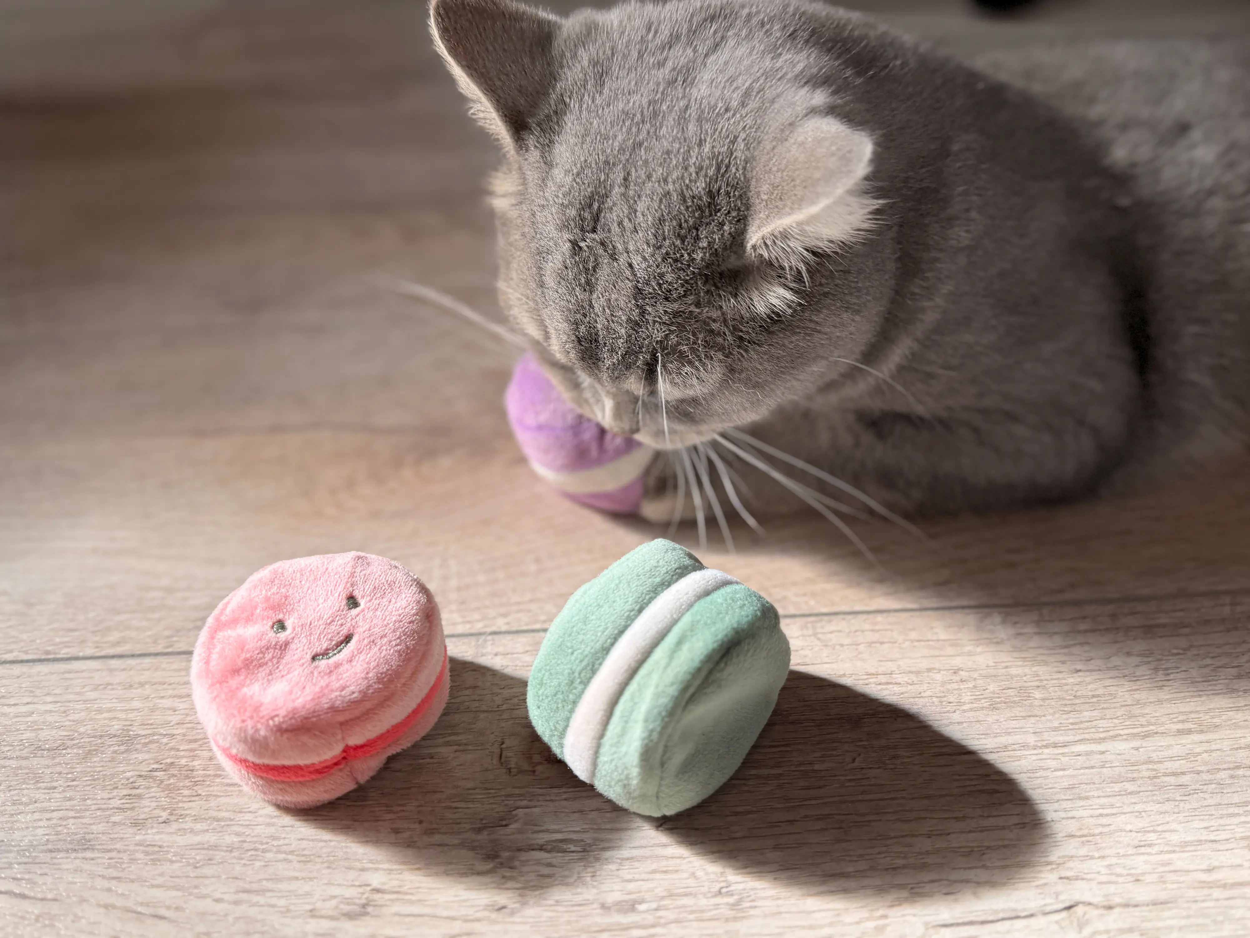 Aumüller Katzenspielzeug Macarons 5 x 4 cm 3er Pack mehrfarbig