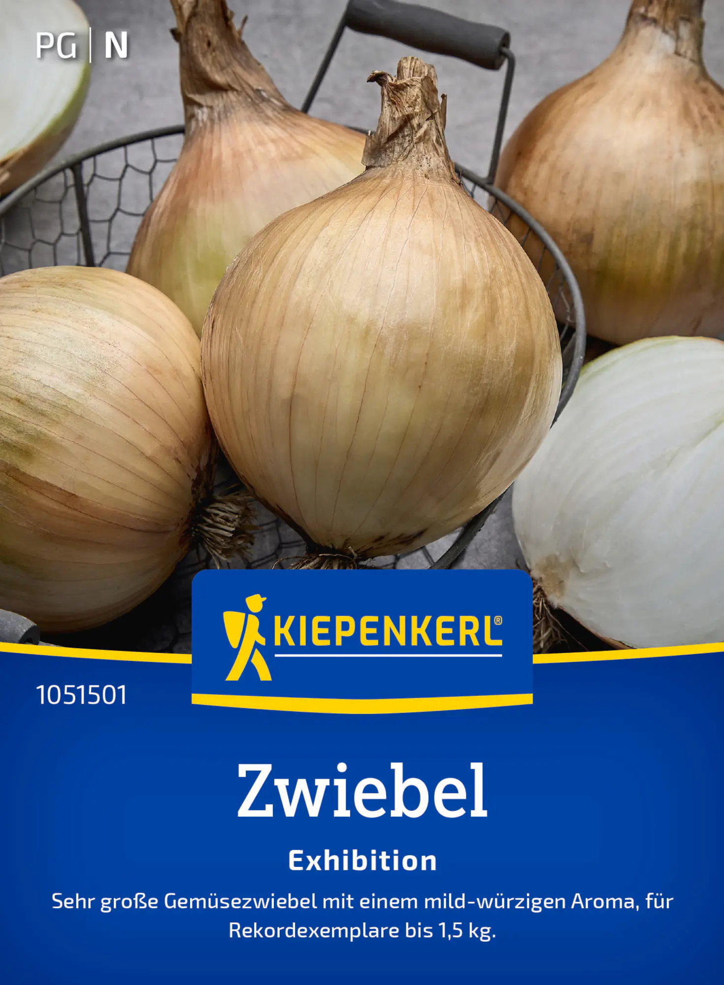 Kiepenkerl Saatgut Zwiebel Exhibition für ca. 2 – 3 m²