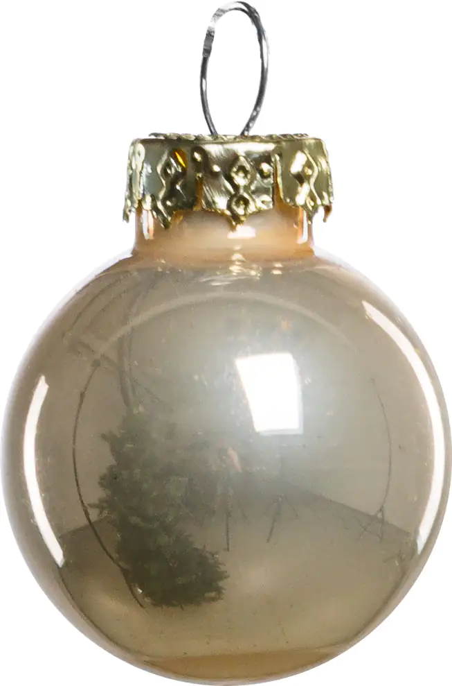 2076601553144_02 TrendLine Weihnachtskugeln aus Glas Ø 2,5 cm champagner 24 Stück
