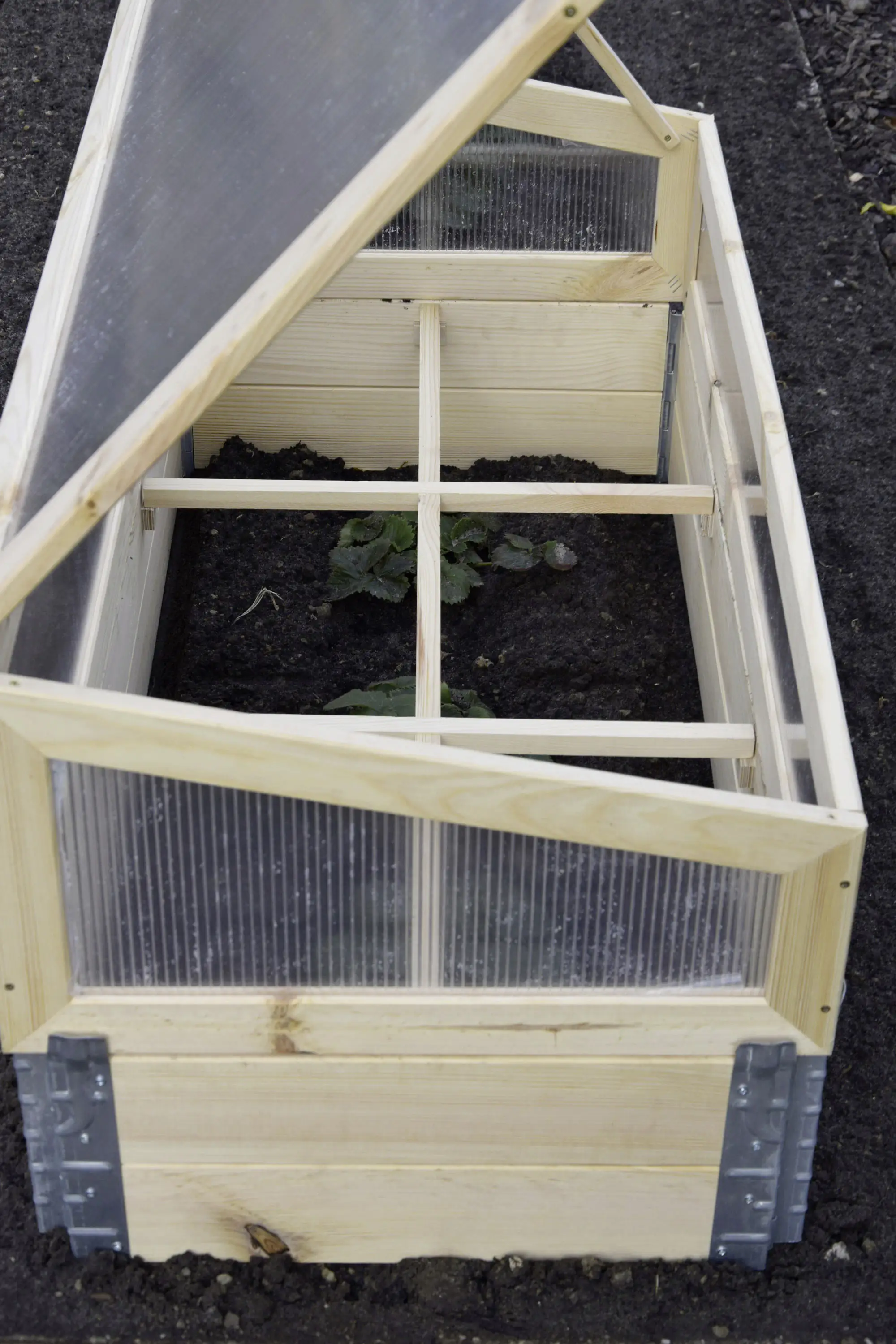 Dobar Frühbeet mit Untersatz transparent Kiefer 100 x 50 x 50 cm