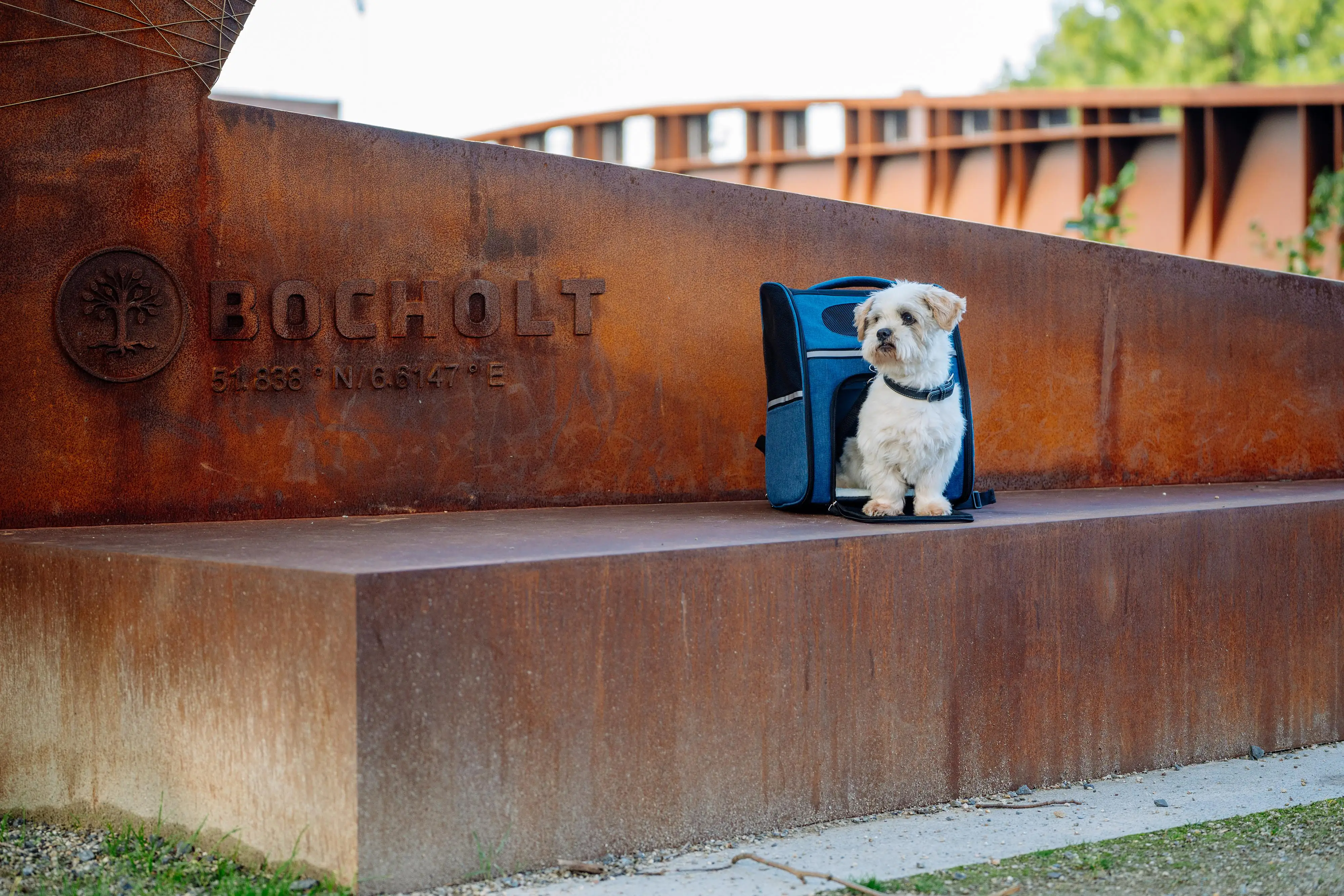 Nobby Tragerucksack Rana blau