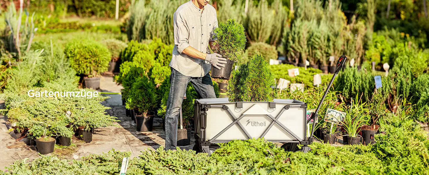 Litheli Bollerwagen 450 W W1 Pro, inkl. Akku 4.0 Ah