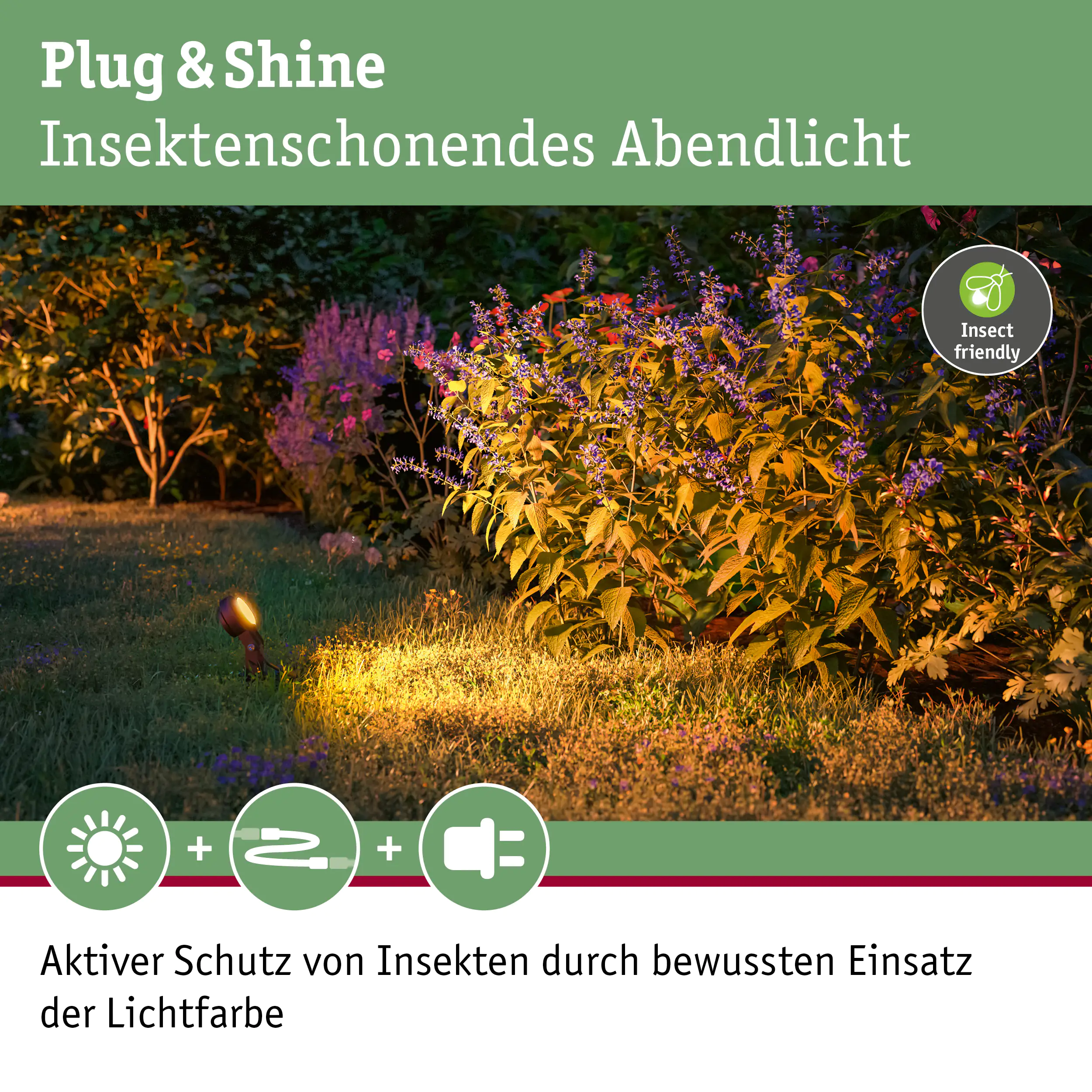 Paulmann Plug & Shine LED Spot Sting insect-friendly anthrazit 3er-Set