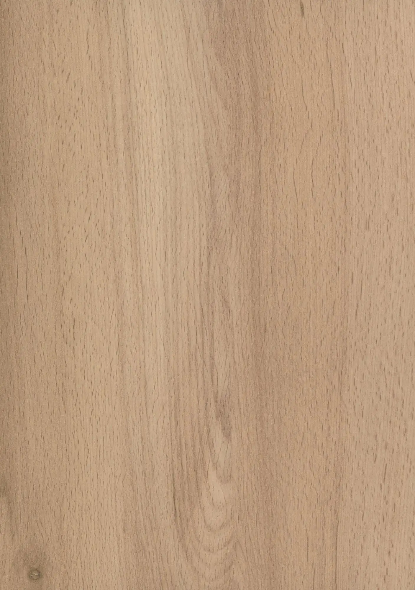 GetaElements Arbeitsplatte 410 x 60 cm, 39 mm, BU370SI semper Buche