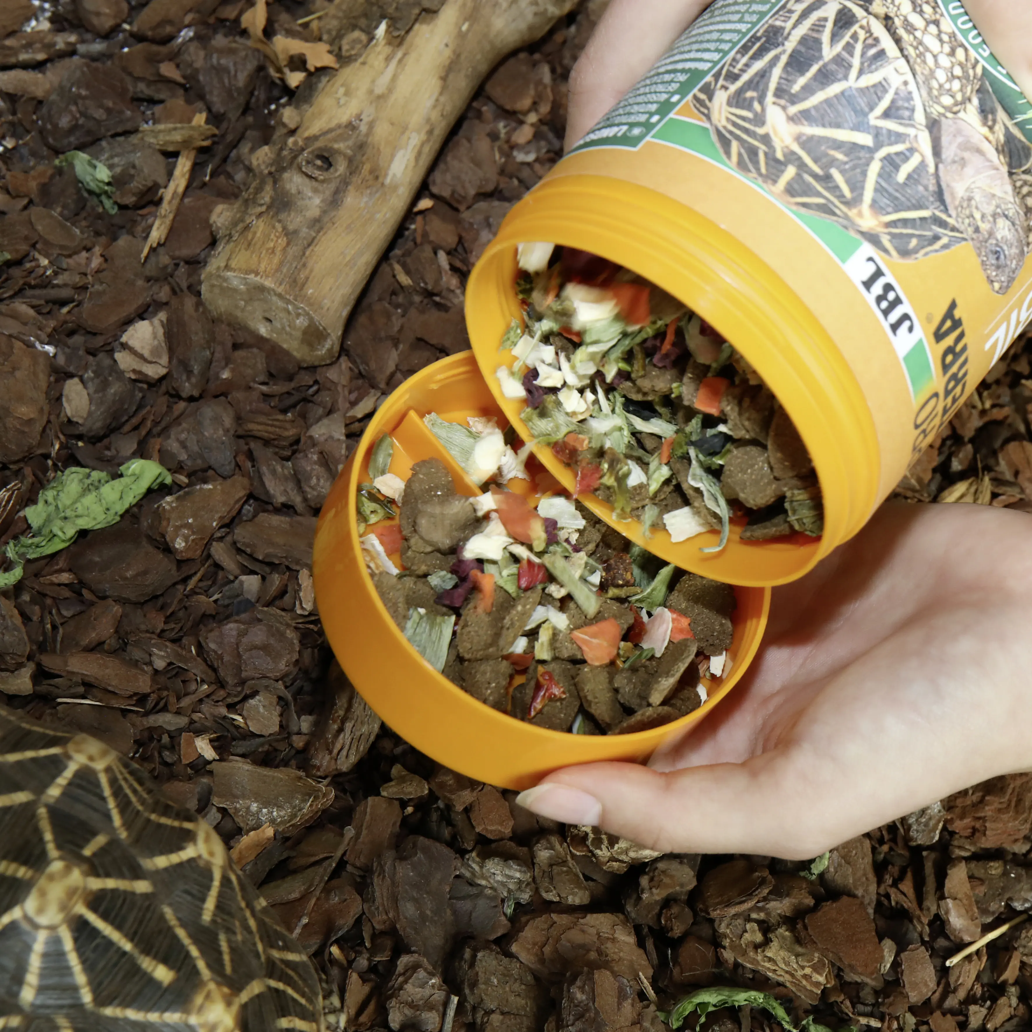 JBL Schildkrötenfutter Proterra Vegabil 250 ml