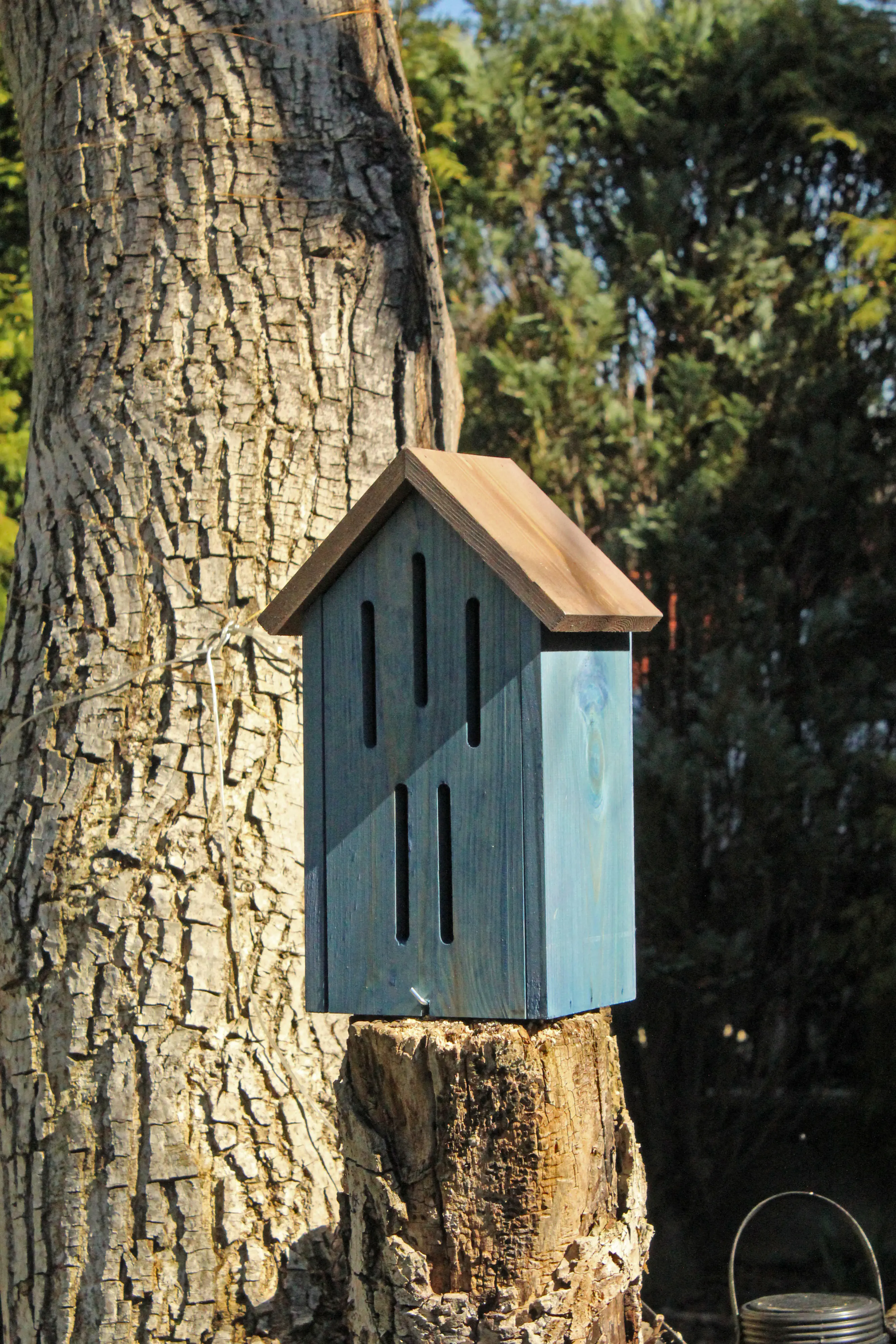 Dobar Schmetterlinghotel 19 x 15 cm blau braun