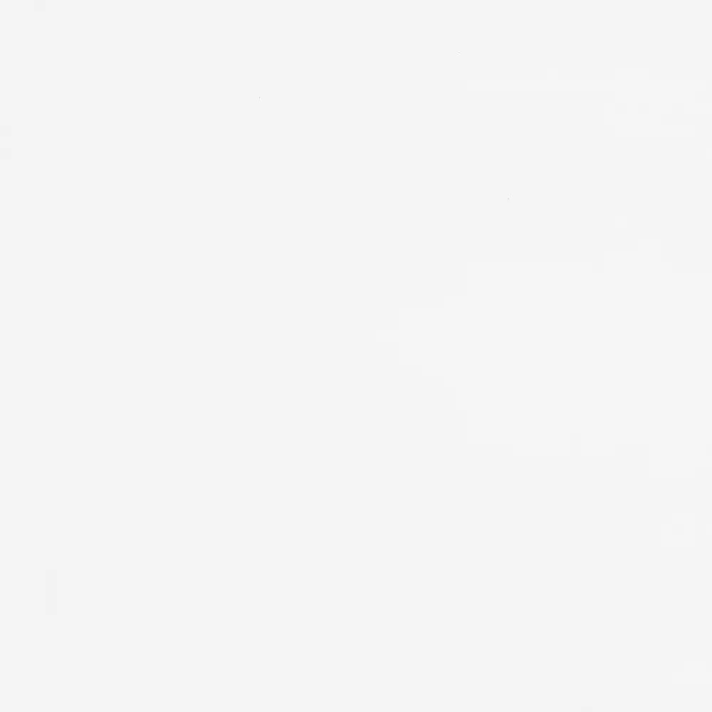 FN Neuhofer Sockelleiste Eckig 250 cm 40 x 16 mm Fichte oder Kiefer