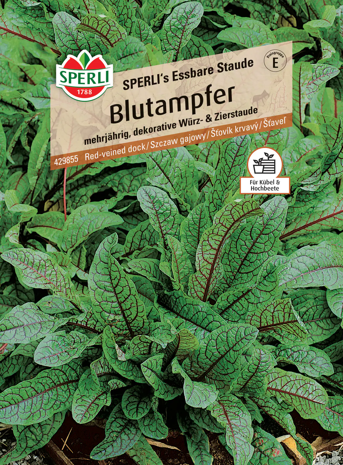 Sperli Blutampfer Sperli 's Essbare Staude