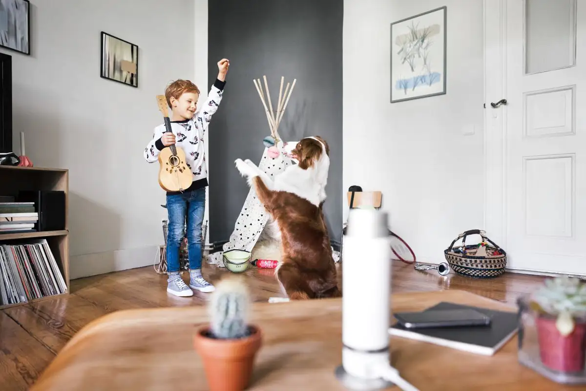 Bosch Innenkamera Smart Home 360° Rundumblick Bosch Innenkamera Smart Home 360° Rundumblick
