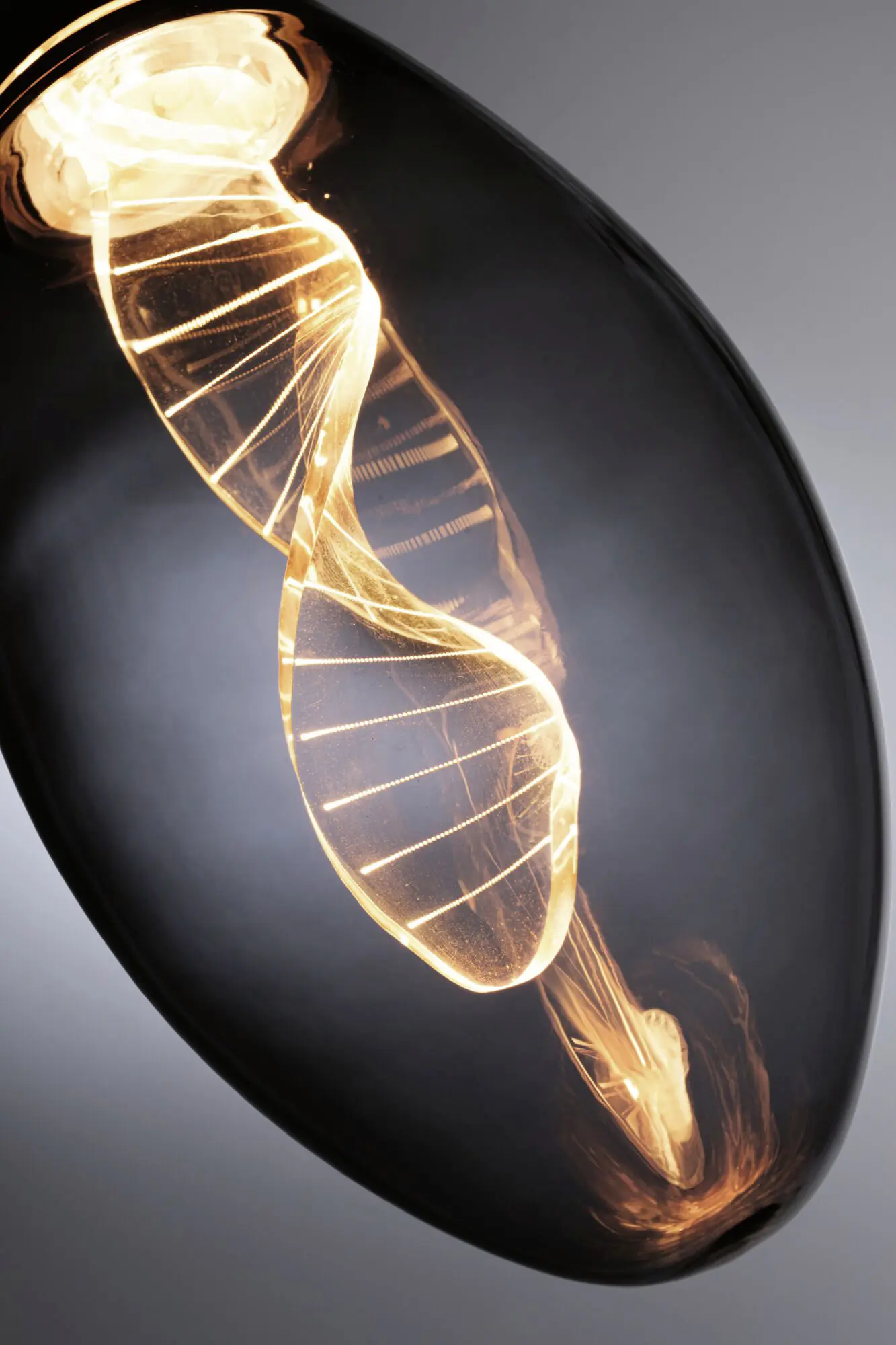 Paulmann LED Leuchtmittel Inner Glow Helix E27 3,5W rauch