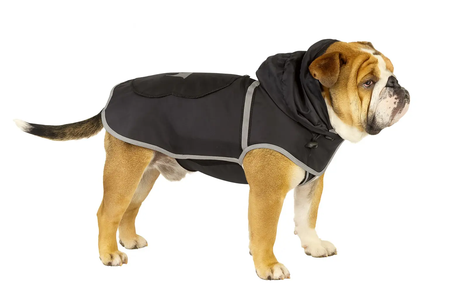 Nobby Hundemantel Rainy Rückenlänge 32 cm, schwarz Nobby Hundemantel Rainy Rückenlänge 32 cm, schwarz