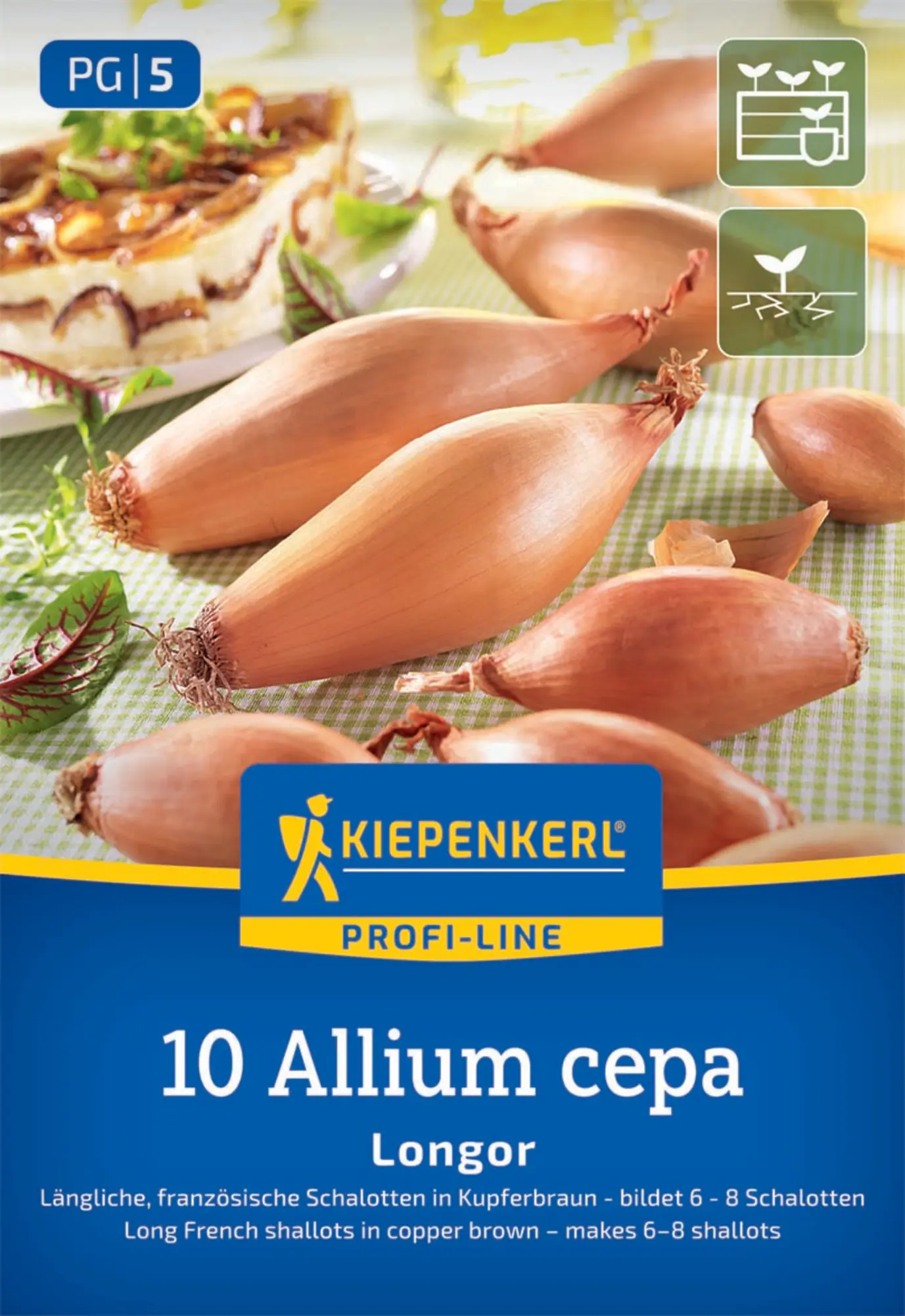 Kiepenkerl Profi-Line Steckzwiebel Französische Schalotte Longor Gr. 20/45, 10 Stück
