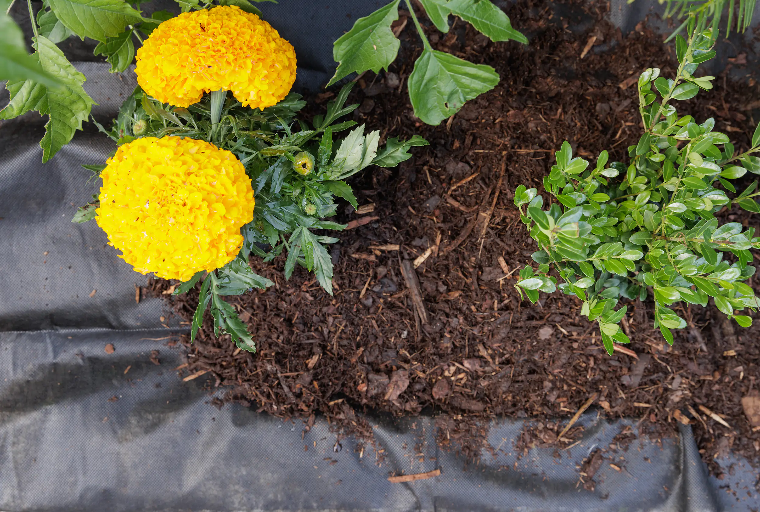 TrendLine Unkrautvlies 1,5 x 10 m 100g/m² TrendLine Unkrautvlies 1,5 x 10 m 100g/m²